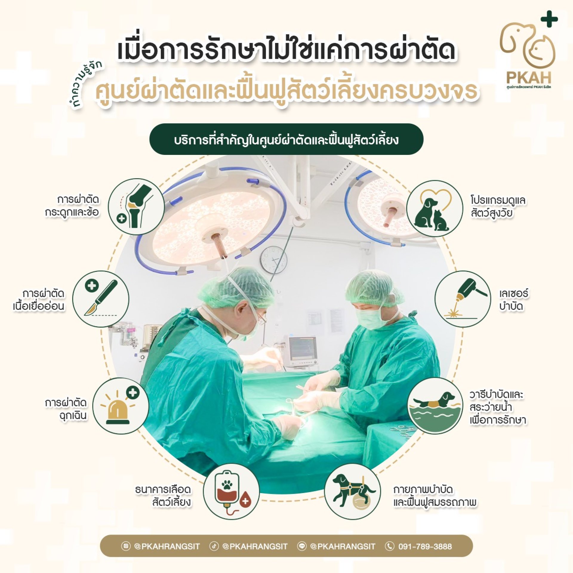 การผ่าตัดเอ็นไขว้หัวเข่าขาดในสุนัข, เอ็นไขว้หน้าหัวเข่าขาดสุนัข, ผ่าตัดหัวเข่าสุนัข, ผ่าตัดกระดูกสัตว์เลี้ยง, ศัลยกรรมกระดูกสุนัข, โรคข้อเข่าสุนัข, สุนัขเดินกะเผลก, สุนัขลงน้ำหนักขาไม่ได้, รักษาเอ็นไขว้หน้าหัวเข่าขาด, TPLO สุนัข, TTA สุนัข, ผ่าตัด TPLO, ผ การผ่าตัดเอ็นไขว้หัวเข่าขาดในสุนัข, เอ็นไขว้หน้าหัวเข่าขาดสุนัข, ผ่าตัดหัวเข่าสุนัข, ผ่าตัดกระดูกสัตว์เลี้ยง, ศัลยกรรมกระดูกสุนัข, โรคข้อเข่าสุนัข, สุนัขเดินกะเผลก, สุนัขลงน้ำหนักขาไม่ได้, รักษาเอ็นไขว้หน้าหัวเข่าขาด, TPLO สุนัข, TTA สุนัข, ผ่าตัด TPLO, ผ