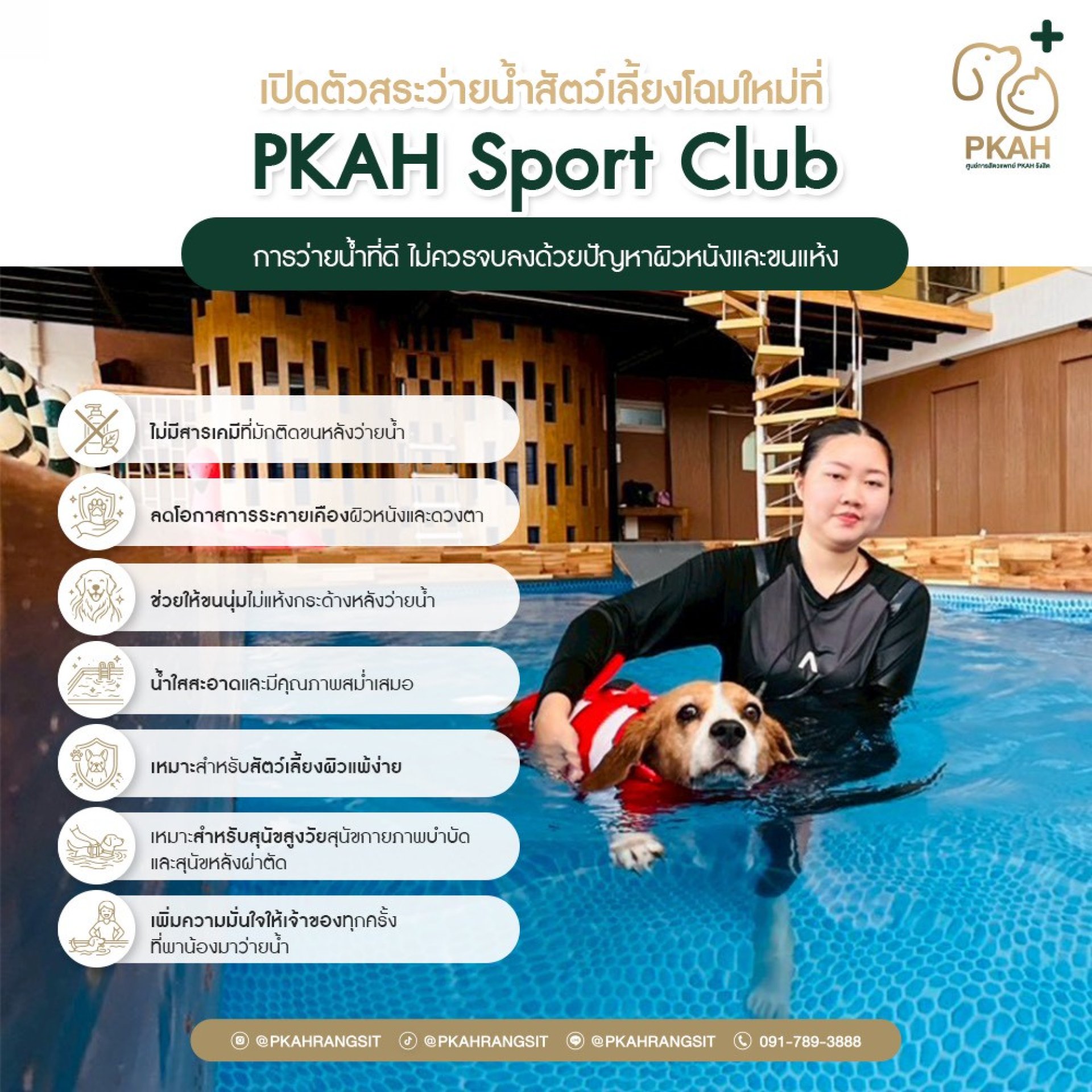 สระว่ายน้ำสัตว์เลี้ยง, สระว่ายน้ำสุนัข, สระว่ายน้ำแมว, ว่ายน้ำสุนัข, ว่ายน้ำเพื่อสุขภาพสุนัข, Hydrotherapy สุนัข, ธาราบำบัดสุนัข, กายภาพบำบัดสุนัขในน้ำ, ฟื้นฟูสุนัขหลังผ่าตัด, ออกกำลังกายสุนัขในน้ำ, สระว่ายน้ำสัตว์เลี้ยง ปทุมธานี, สระว่ายน้ำสุนัข รังสิต, สระว่ายน้ำสัตว์เลี้ยง, สระว่ายน้ำสุนัข, สระว่ายน้ำแมว, ว่ายน้ำสุนัข, ว่ายน้ำเพื่อสุขภาพสุนัข, Hydrotherapy สุนัข, ธาราบำบัดสุนัข, กายภาพบำบัดสุนัขในน้ำ, ฟื้นฟูสุนัขหลังผ่าตัด, ออกกำลังกายสุนัขในน้ำ, สระว่ายน้ำสัตว์เลี้ยง ปทุมธานี, สระว่ายน้ำสุนัข รังสิต,