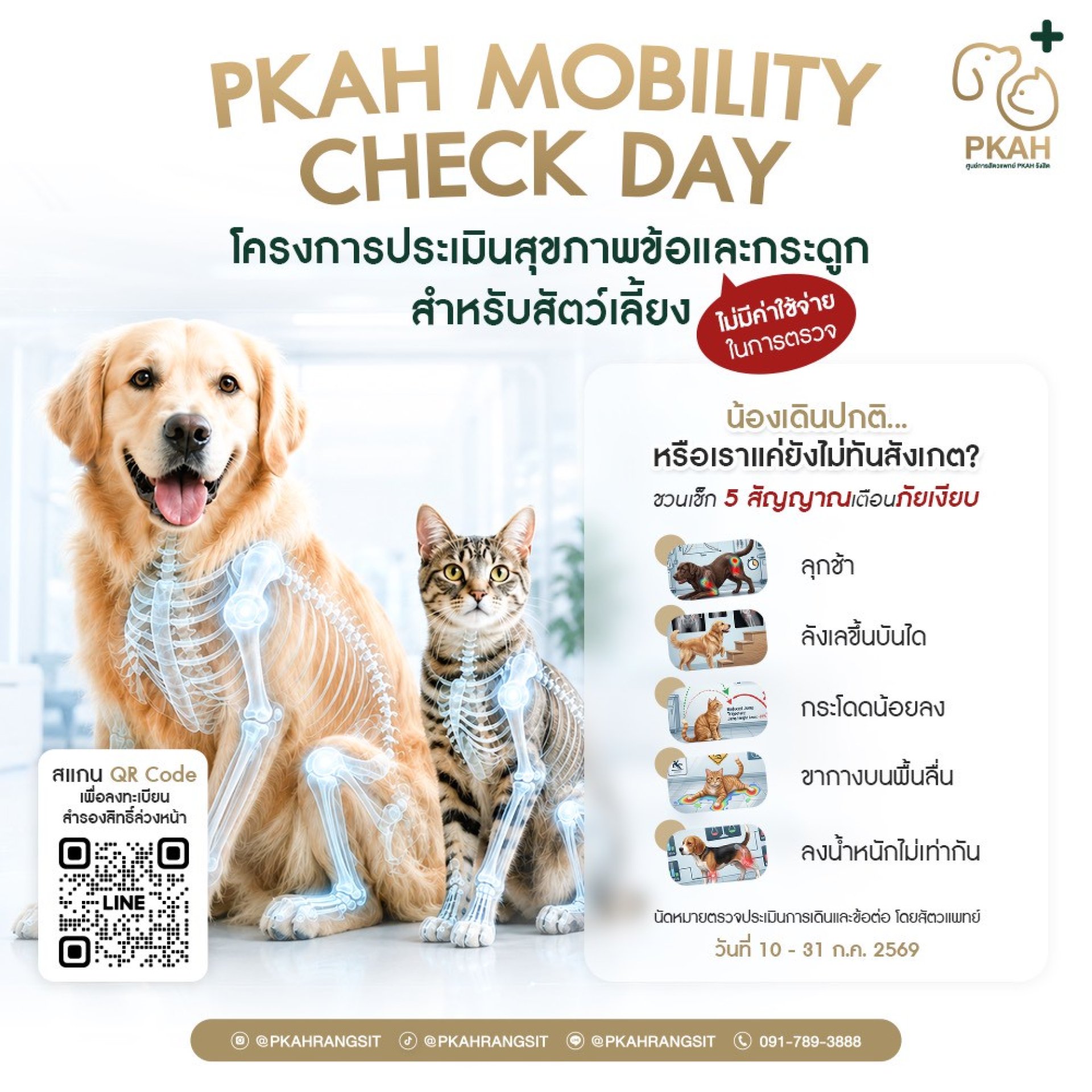 PKAHRangsit, PKAHMobilityCheckDay, โครงการประเมินสุขภาพข้อและกระดูก, ศูนย์โรคกระดูกและข้อ PKAHRangsit, PKAHMobilityCheckDay, โครงการประเมินสุขภาพข้อและกระดูก, ศูนย์โรคกระดูกและข้อ