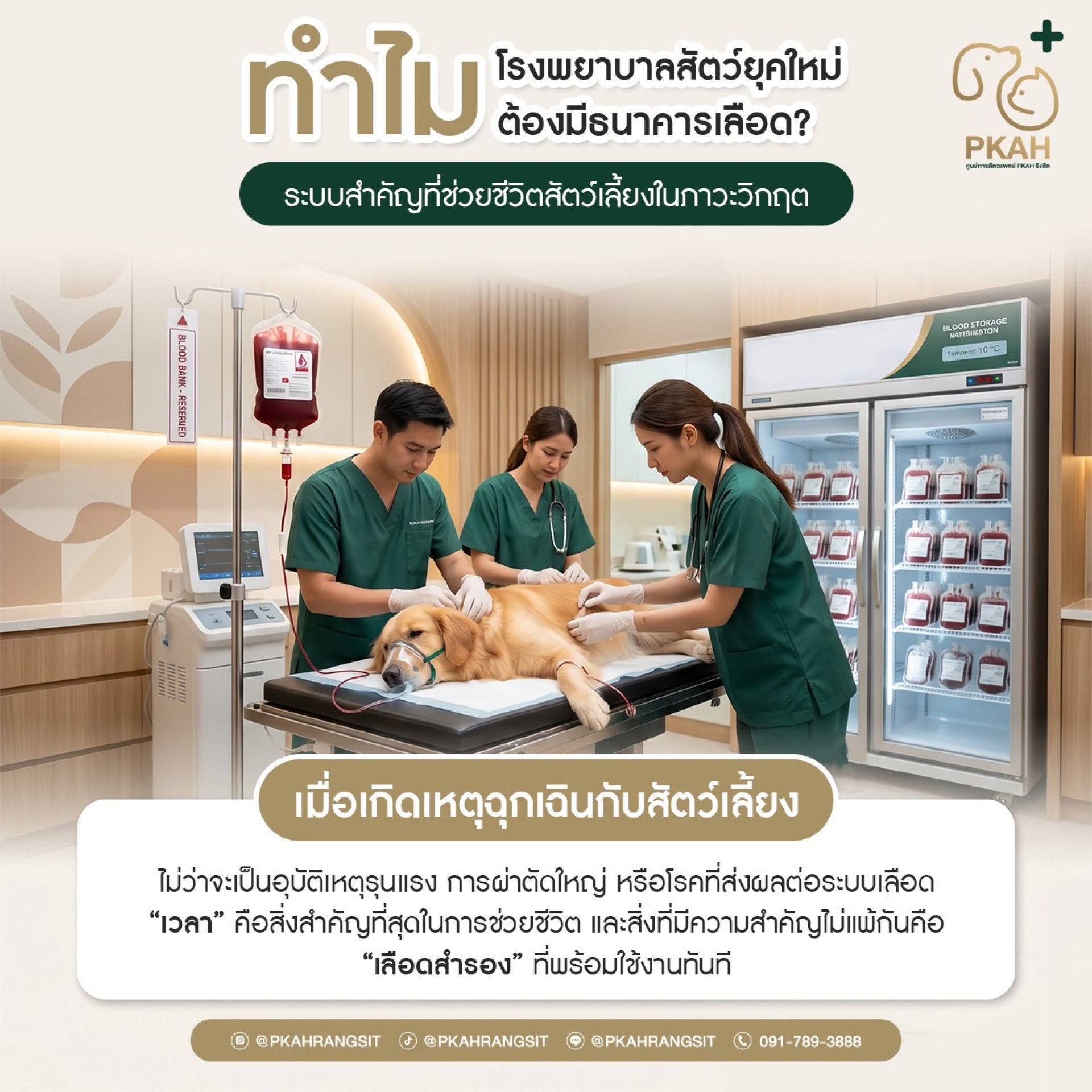 ธนาคารเลือดสัตว์, ธนาคารเลือดสุนัข, ธนาคารเลือดแมว, บริจาคเลือดสุนัข, บริจาคเลือดแมว, ให้เลือดสุนัข, ให้เลือดแมว, รักษาสัตว์ฉุกเฉิน, โรงพยาบาลสัตว์รังสิต, ศูนย์การสัตวแพทย์รังสิต, สัตว์ป่วยวิกฤต, ICU สัตว์เลี้ยง, โรคโลหิตจางในสุนัข, โรคพยาธิเม็ดเลือดสุนัข ธนาคารเลือดสัตว์, ธนาคารเลือดสุนัข, ธนาคารเลือดแมว, บริจาคเลือดสุนัข, บริจาคเลือดแมว, ให้เลือดสุนัข, ให้เลือดแมว, รักษาสัตว์ฉุกเฉิน, โรงพยาบาลสัตว์รังสิต, ศูนย์การสัตวแพทย์รังสิต, สัตว์ป่วยวิกฤต, ICU สัตว์เลี้ยง, โรคโลหิตจางในสุนัข, โรคพยาธิเม็ดเลือดสุนัข