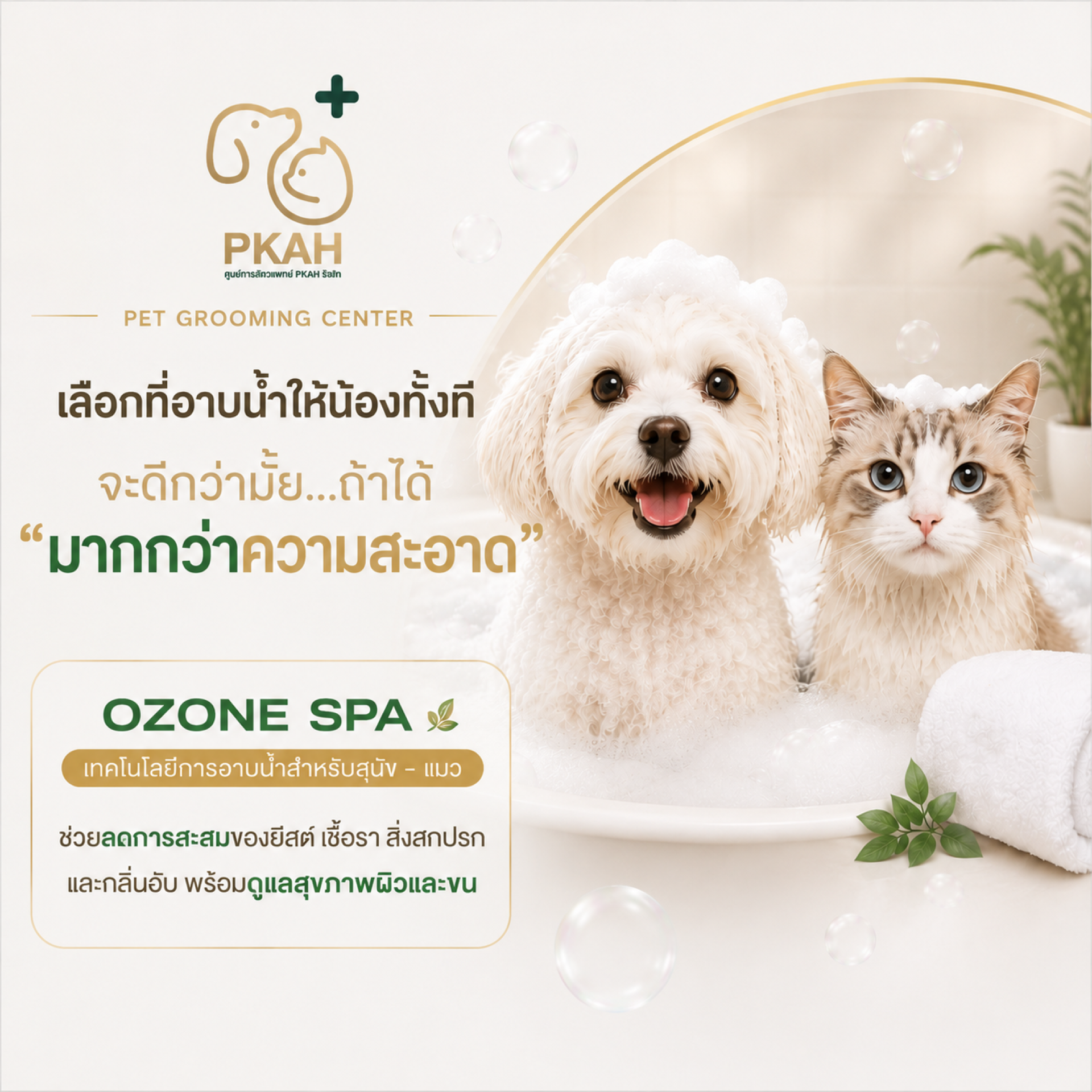 อาบน้ำสุนัข, อาบน้ำแมว, อาบน้ำสัตว์เลี้ยง, ร้านอาบน้ำสุนัข, ร้านอาบน้ำแมว, อาบน้ำตัดขนสัตว์เลี้ยง, Grooming สุนัขแมว, กรูมมิ่งสัตว์เลี้ยง, สปาสัตว์เลี้ยง, Ozone Spa สัตว์เลี้ยง, Ozone Spa ผิวหนังสัตว์เลี้ยง, โอโซนสปาสุนัข, โอโซนสปาแมว, ดูแลผิวหนังสัตว์เลี อาบน้ำสุนัข, อาบน้ำแมว, อาบน้ำสัตว์เลี้ยง, ร้านอาบน้ำสุนัข, ร้านอาบน้ำแมว, อาบน้ำตัดขนสัตว์เลี้ยง, Grooming สุนัขแมว, กรูมมิ่งสัตว์เลี้ยง, สปาสัตว์เลี้ยง, Ozone Spa สัตว์เลี้ยง, Ozone Spa ผิวหนังสัตว์เลี้ยง, โอโซนสปาสุนัข, โอโซนสปาแมว, ดูแลผิวหนังสัตว์เลี