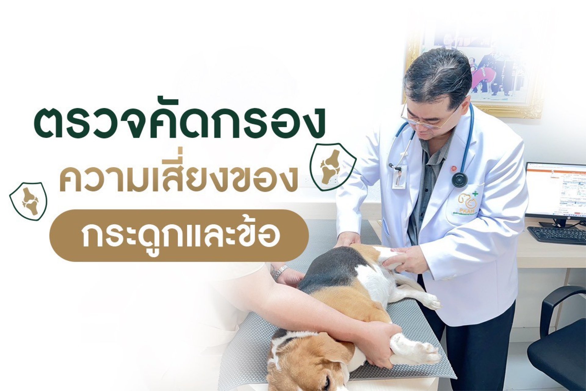 กระดูกและข้อสัตว์เลี้ยง, โรคกระดูกและข้อสัตว์เลี้ยง, ข้อเสื่อมสุนัข, ข้อสะโพกเสื่อมสุนัข, Hip Dysplasia, HipDysplasia, Patellar Luxation, หมอนรองกระดูกทับเส้น, โรคข้อในสุนัข, โรคกระดูกสัตว์เลี้ยง, ศัลยกรรมกระดูกสัตว์เลี้ยง, ผ่าตัดกระดูกสัตว์เลี้ยง, กายภาพ กระดูกและข้อสัตว์เลี้ยง, โรคกระดูกและข้อสัตว์เลี้ยง, ข้อเสื่อมสุนัข, ข้อสะโพกเสื่อมสุนัข, Hip Dysplasia, HipDysplasia, Patellar Luxation, หมอนรองกระดูกทับเส้น, โรคข้อในสุนัข, โรคกระดูกสัตว์เลี้ยง, ศัลยกรรมกระดูกสัตว์เลี้ยง, ผ่าตัดกระดูกสัตว์เลี้ยง, กายภาพ