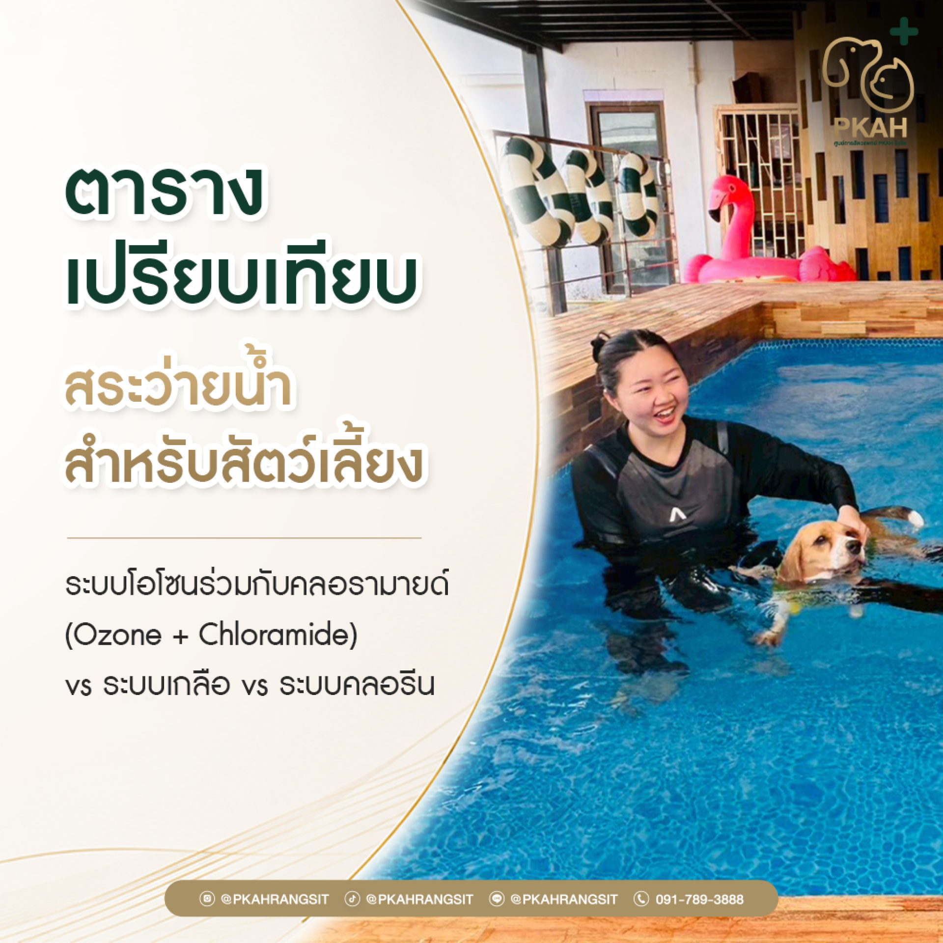 สระว่ายน้ำสัตว์เลี้ยง, สระว่ายน้ำสุนัข, สระว่ายน้ำแมว, ว่ายน้ำสุนัข, ว่ายน้ำสัตว์เลี้ยง, สระว่ายน้ำสำหรับสุนัข, สระว่ายน้ำสัตว์เลี้ยง กรุงเทพ, สระว่ายน้ำสุนัข กรุงเทพ, pet swimming pool, dog swimming pool, สระว่ายน้ำสัตว์เลี้ยงระบบโอโซน, สระว่ายน้ำสุนัขระ สระว่ายน้ำสัตว์เลี้ยง, สระว่ายน้ำสุนัข, สระว่ายน้ำแมว, ว่ายน้ำสุนัข, ว่ายน้ำสัตว์เลี้ยง, สระว่ายน้ำสำหรับสุนัข, สระว่ายน้ำสัตว์เลี้ยง กรุงเทพ, สระว่ายน้ำสุนัข กรุงเทพ, pet swimming pool, dog swimming pool, สระว่ายน้ำสัตว์เลี้ยงระบบโอโซน, สระว่ายน้ำสุนัขระ