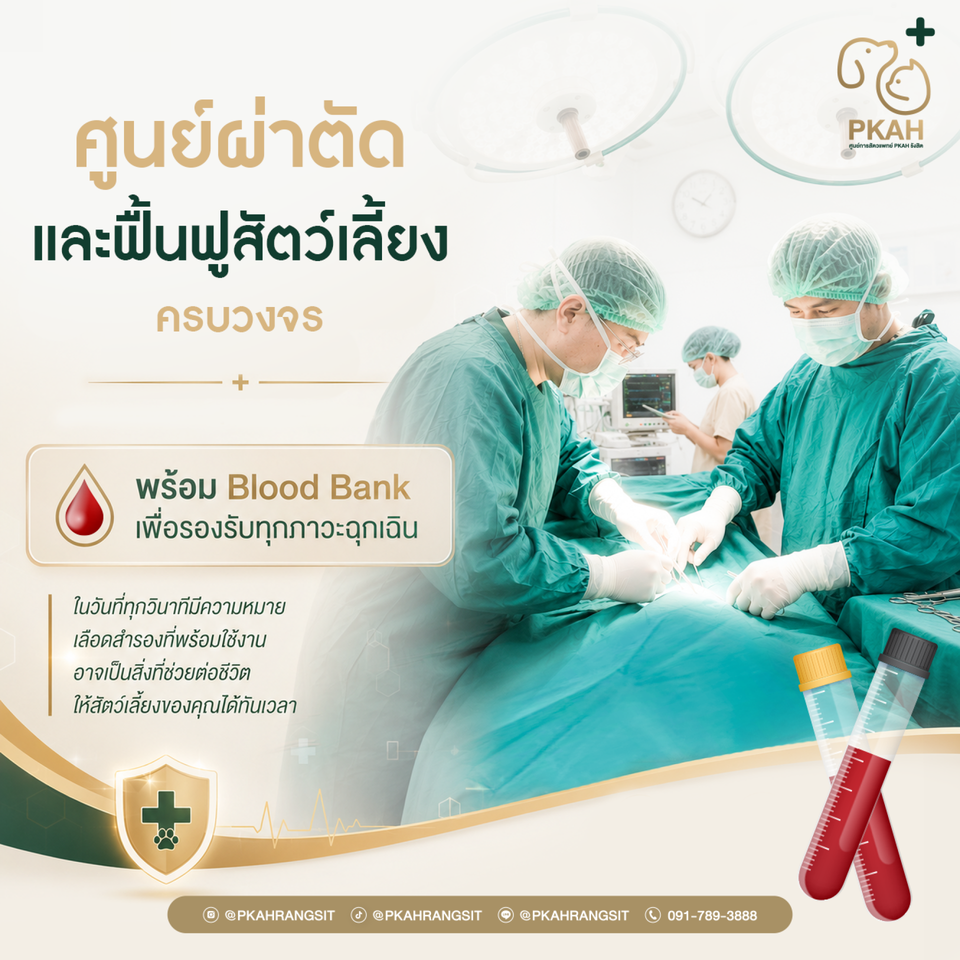 ผ่าตัดสุนัขแมวครบวงจร, ผ่าตัดสัตว์เลี้ยง, ศัลยกรรมสุนัข, ศัลยกรรมแมว, ผ่าตัดเนื้องอกสุนัข, ผ่าตัดเนื้องอกแมว, ผ่าตัดกระดูกสัตว์เลี้ยง, ผ่าตัดฉุกเฉินสุนัขแมว, ผ่าตัดระบบทางเดินอาหารสัตว์เลี้ยง, ผ่าตัดเพดานอ่อนสุนัขแมว, ผ่าตัดทำหมันสุนัขแมว, ผ่าตัดกระเพาะอา ผ่าตัดสุนัขแมวครบวงจร, ผ่าตัดสัตว์เลี้ยง, ศัลยกรรมสุนัข, ศัลยกรรมแมว, ผ่าตัดเนื้องอกสุนัข, ผ่าตัดเนื้องอกแมว, ผ่าตัดกระดูกสัตว์เลี้ยง, ผ่าตัดฉุกเฉินสุนัขแมว, ผ่าตัดระบบทางเดินอาหารสัตว์เลี้ยง, ผ่าตัดเพดานอ่อนสุนัขแมว, ผ่าตัดทำหมันสุนัขแมว, ผ่าตัดกระเพาะอา