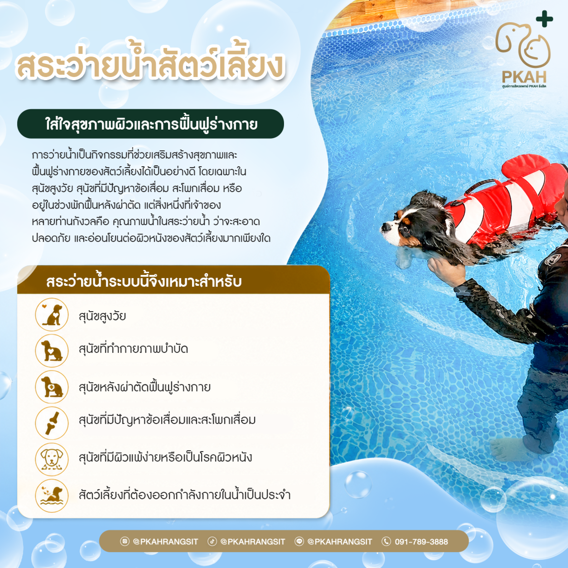 สระว่ายน้ำสัตว์เลี้ยง, สระว่ายน้ำสุนัข, สระว่ายน้ำแมว, ว่ายน้ำสุนัข, ว่ายน้ำสัตว์เลี้ยง, สระว่ายน้ำสำหรับสุนัข, สระว่ายน้ำสัตว์เลี้ยง กรุงเทพ, สระว่ายน้ำสุนัข กรุงเทพ, pet swimming pool, dog swimming pool, สระว่ายน้ำสัตว์เลี้ยงระบบโอโซน, สระว่ายน้ำสุนัขระ สระว่ายน้ำสัตว์เลี้ยง, สระว่ายน้ำสุนัข, สระว่ายน้ำแมว, ว่ายน้ำสุนัข, ว่ายน้ำสัตว์เลี้ยง, สระว่ายน้ำสำหรับสุนัข, สระว่ายน้ำสัตว์เลี้ยง กรุงเทพ, สระว่ายน้ำสุนัข กรุงเทพ, pet swimming pool, dog swimming pool, สระว่ายน้ำสัตว์เลี้ยงระบบโอโซน, สระว่ายน้ำสุนัขระ