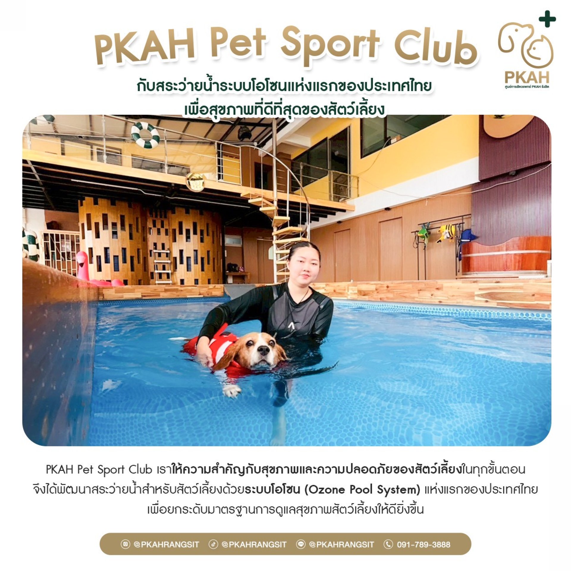 สระว่ายน้ำสุนัข รังสิต, สระว่ายน้ำสุนัข ปทุมธานี, ว่ายน้ำสุนัขใกล้ฉัน, สระว่ายน้ำสัตว์เลี้ยง, กายภาพบำบัดสุนัข, ธาราบำบัดสุนัข, Hydrotherapy Dog Thailand, Dog Swimming Pool Thailand, Dog Rehabilitation, Dog Fitness, Dog Wellness, Pet Sport Club, PKAH Pet สระว่ายน้ำสุนัข รังสิต, สระว่ายน้ำสุนัข ปทุมธานี, ว่ายน้ำสุนัขใกล้ฉัน, สระว่ายน้ำสัตว์เลี้ยง, กายภาพบำบัดสุนัข, ธาราบำบัดสุนัข, Hydrotherapy Dog Thailand, Dog Swimming Pool Thailand, Dog Rehabilitation, Dog Fitness, Dog Wellness, Pet Sport Club, PKAH Pet