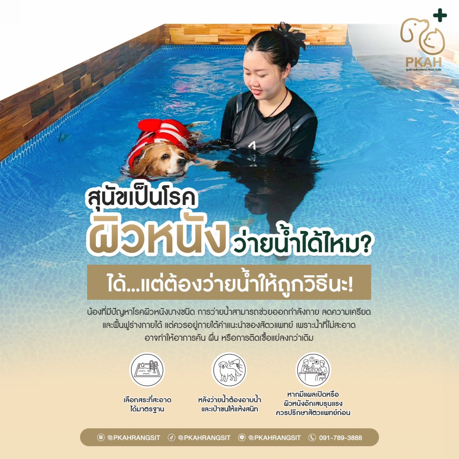 สุนัขเป็นโรคผิวหนัง ว่ายน้ำได้ไหม? คำตอบคือ…ได้…แต่ต้องว่ายน้ำให้ถูกวิธีนะ! น้องที่มีปัญหาโรคผิวหนังบางชนิด การว่ายน้ำสามารถช่วยออกกำลังกาย ลดความเครียด และฟื้นฟูร่างกายได้ แต่ควรอยู่ภายใต้คำแนะนำของสัตวแพทย์ เพราะน้ำที่ไม่สะอาดอาจทำให้อาการคัน ผื่น หรือ สุนัขเป็นโรคผิวหนัง ว่ายน้ำได้ไหม? คำตอบคือ…ได้…แต่ต้องว่ายน้ำให้ถูกวิธีนะ! น้องที่มีปัญหาโรคผิวหนังบางชนิด การว่ายน้ำสามารถช่วยออกกำลังกาย ลดความเครียด และฟื้นฟูร่างกายได้ แต่ควรอยู่ภายใต้คำแนะนำของสัตวแพทย์ เพราะน้ำที่ไม่สะอาดอาจทำให้อาการคัน ผื่น หรือ