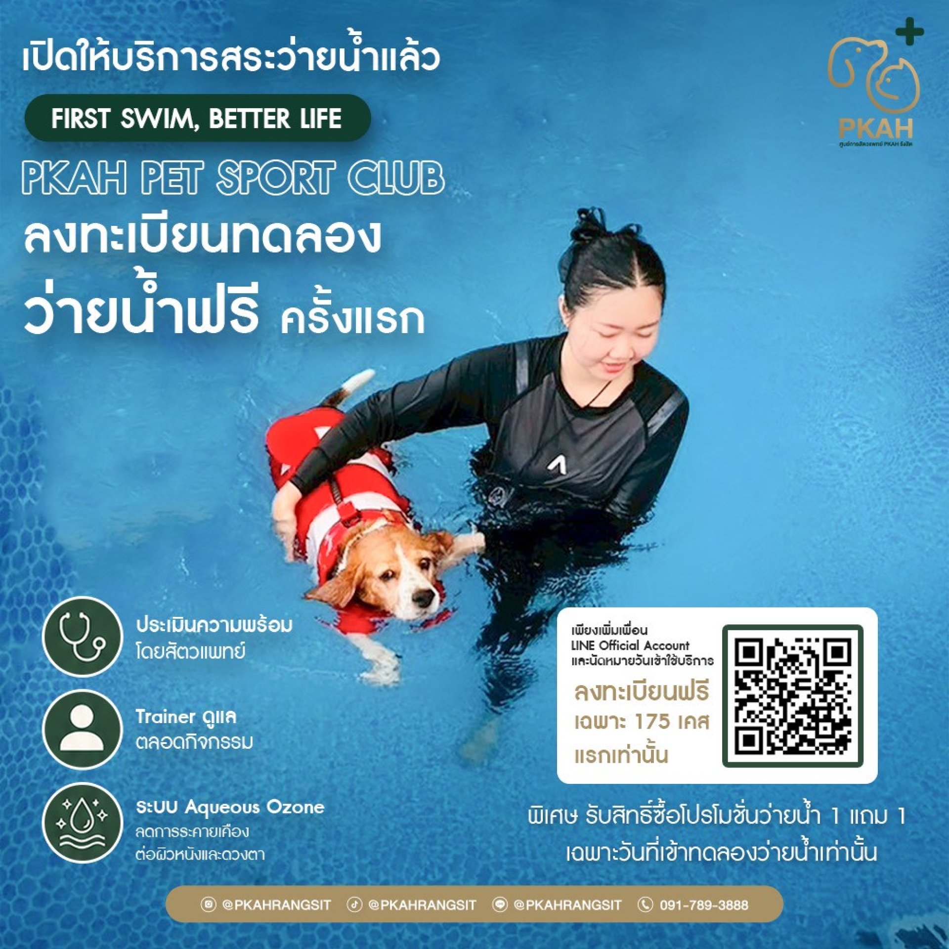 สระว่ายน้ำสัตว์เลี้ยง, สระว่ายน้ำสุนัข, สระว่ายน้ำแมว, ว่ายน้ำสุนัข, ว่ายน้ำเพื่อสุขภาพสุนัข, Hydrotherapy สุนัข, ธาราบำบัดสุนัข, กายภาพบำบัดสุนัขในน้ำ, ฟื้นฟูสุนัขหลังผ่าตัด, ออกกำลังกายสุนัขในน้ำ, สระว่ายน้ำสัตว์เลี้ยง ปทุมธานี, สระว่ายน้ำสุนัข รังสิต, สระว่ายน้ำสัตว์เลี้ยง, สระว่ายน้ำสุนัข, สระว่ายน้ำแมว, ว่ายน้ำสุนัข, ว่ายน้ำเพื่อสุขภาพสุนัข, Hydrotherapy สุนัข, ธาราบำบัดสุนัข, กายภาพบำบัดสุนัขในน้ำ, ฟื้นฟูสุนัขหลังผ่าตัด, ออกกำลังกายสุนัขในน้ำ, สระว่ายน้ำสัตว์เลี้ยง ปทุมธานี, สระว่ายน้ำสุนัข รังสิต,