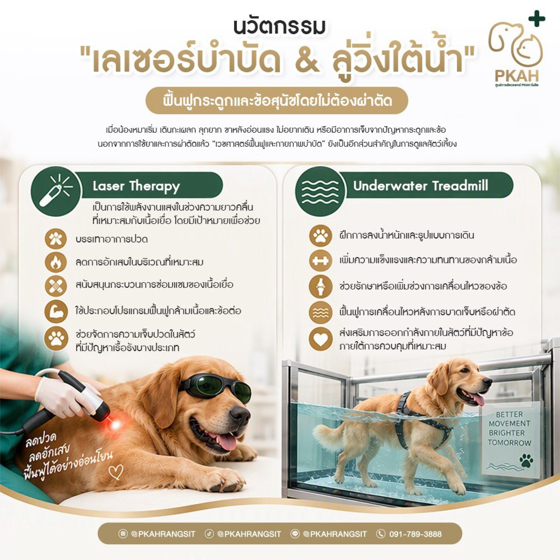 ลู่วิ่งใต้น้ำสุนัข, กายภาพบำบัดสุนัข, ฟื้นฟูสมรรถภาพสุนัข, เลเซอร์บำบัดสัตว์เลี้ยง, สุนัขเดินกะเผลก, สุนัขขาหลังอ่อนแรง, ลู่วิ่งใต้น้ำสัตว์เลี้ยง, ฟื้นฟูสุนัขหลังผ่าตัด, กายภาพบำบัดสัตว์เลี้ยง, เลเซอร์บำบัดสุนัข รังสิต, กายภาพบำบัดสุนัข ปทุมธานี, ลู่วิ่งใ ลู่วิ่งใต้น้ำสุนัข, กายภาพบำบัดสุนัข, ฟื้นฟูสมรรถภาพสุนัข, เลเซอร์บำบัดสัตว์เลี้ยง, สุนัขเดินกะเผลก, สุนัขขาหลังอ่อนแรง, ลู่วิ่งใต้น้ำสัตว์เลี้ยง, ฟื้นฟูสุนัขหลังผ่าตัด, กายภาพบำบัดสัตว์เลี้ยง, เลเซอร์บำบัดสุนัข รังสิต, กายภาพบำบัดสุนัข ปทุมธานี, ลู่วิ่งใ