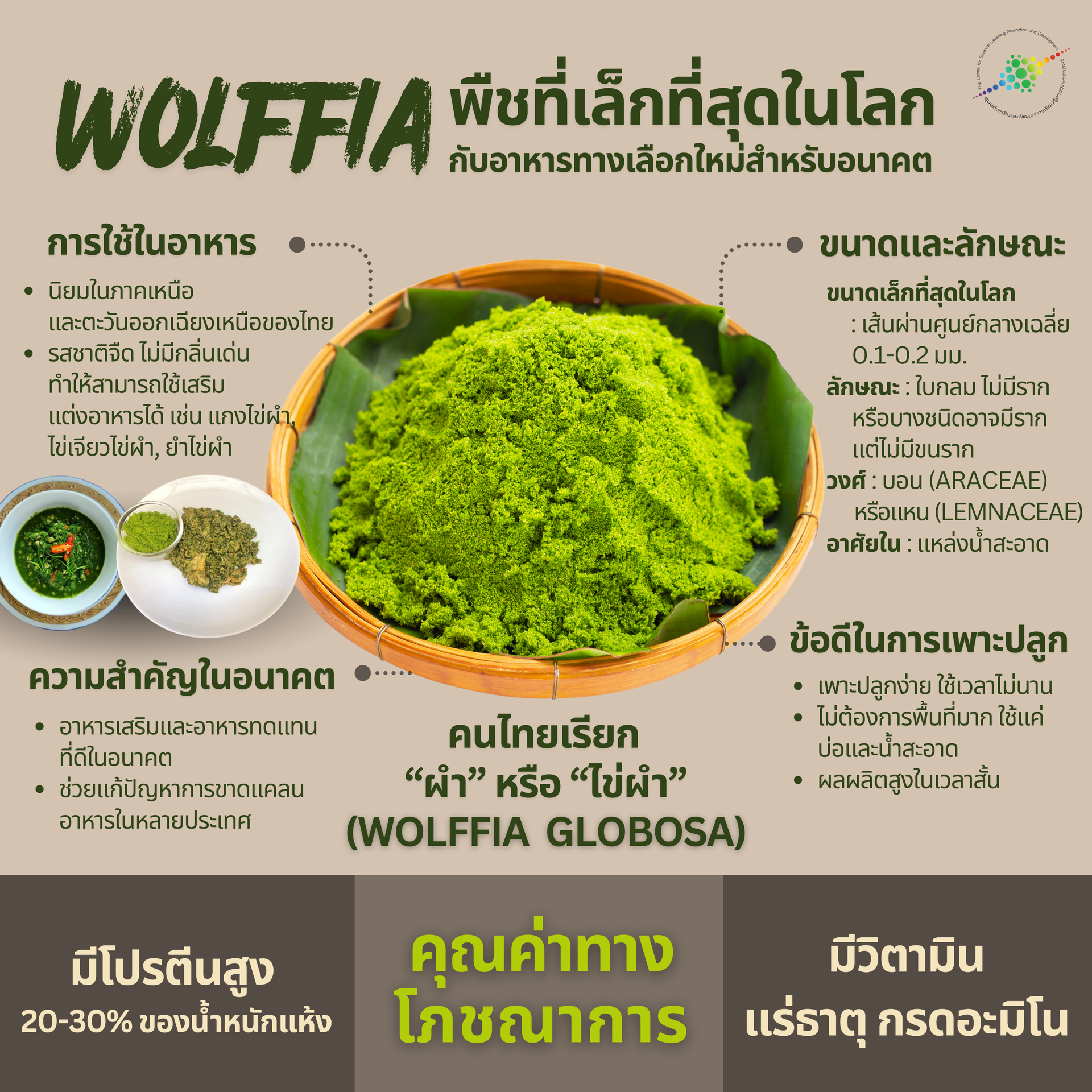 Wolffia: A Tiny Superfood for Sustainable Nutrition