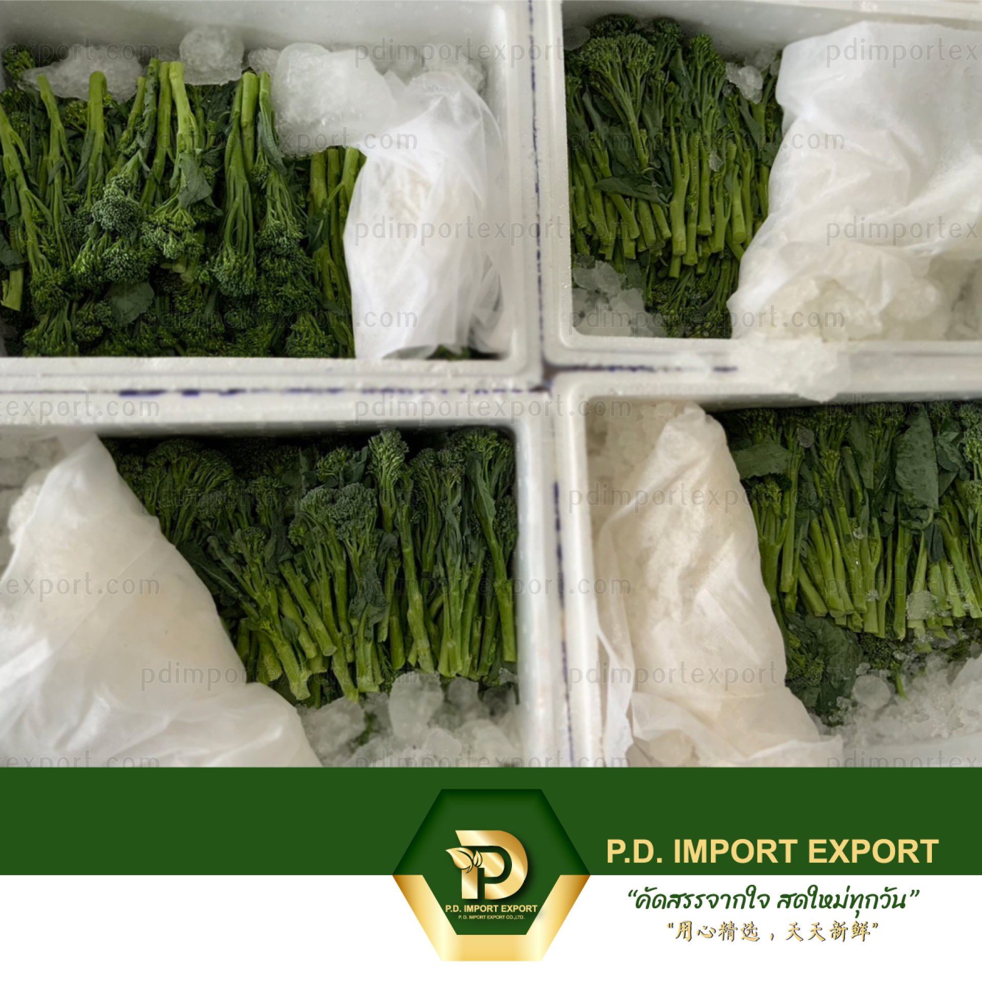 เบบี้บล็อค / เบบี้บล็อคโคลี (Broccolini / Baby Broccoli)