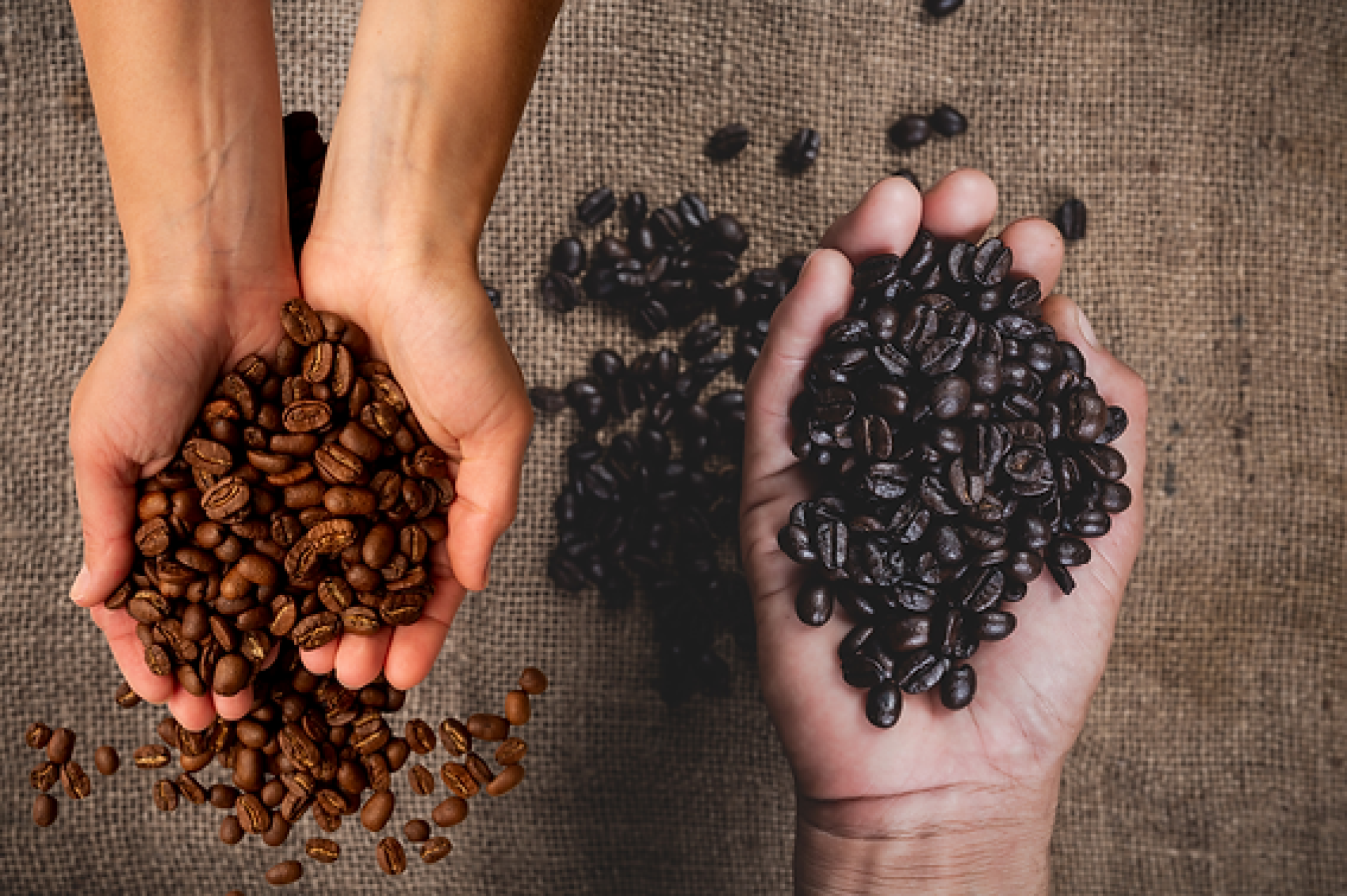 Espresso Ratio 1:2, Espresso Ratio 1:2,