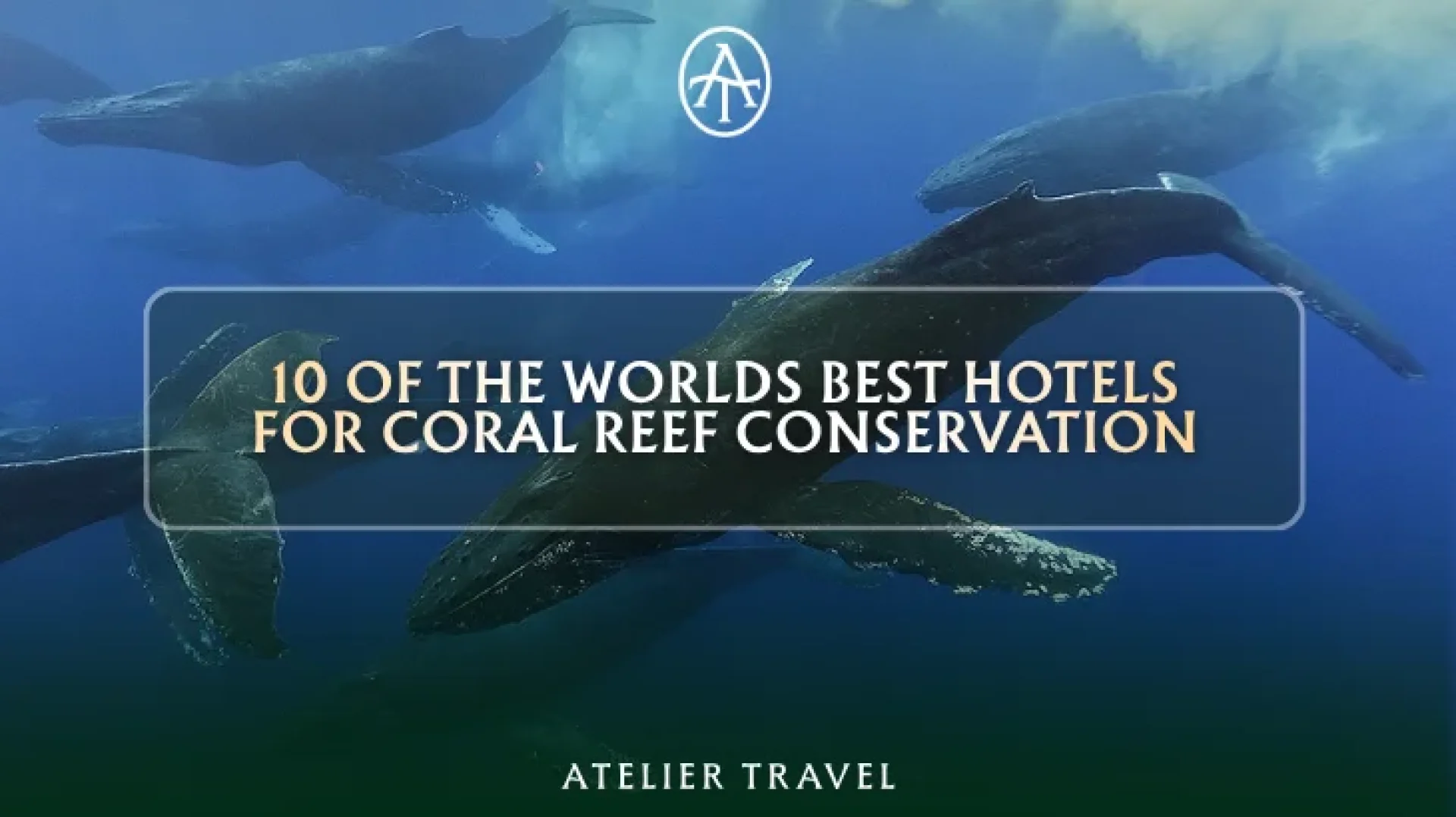 10 of the World's Best hotels for coral reef conservation 10 of the World's Best hotels for coral reef conservation