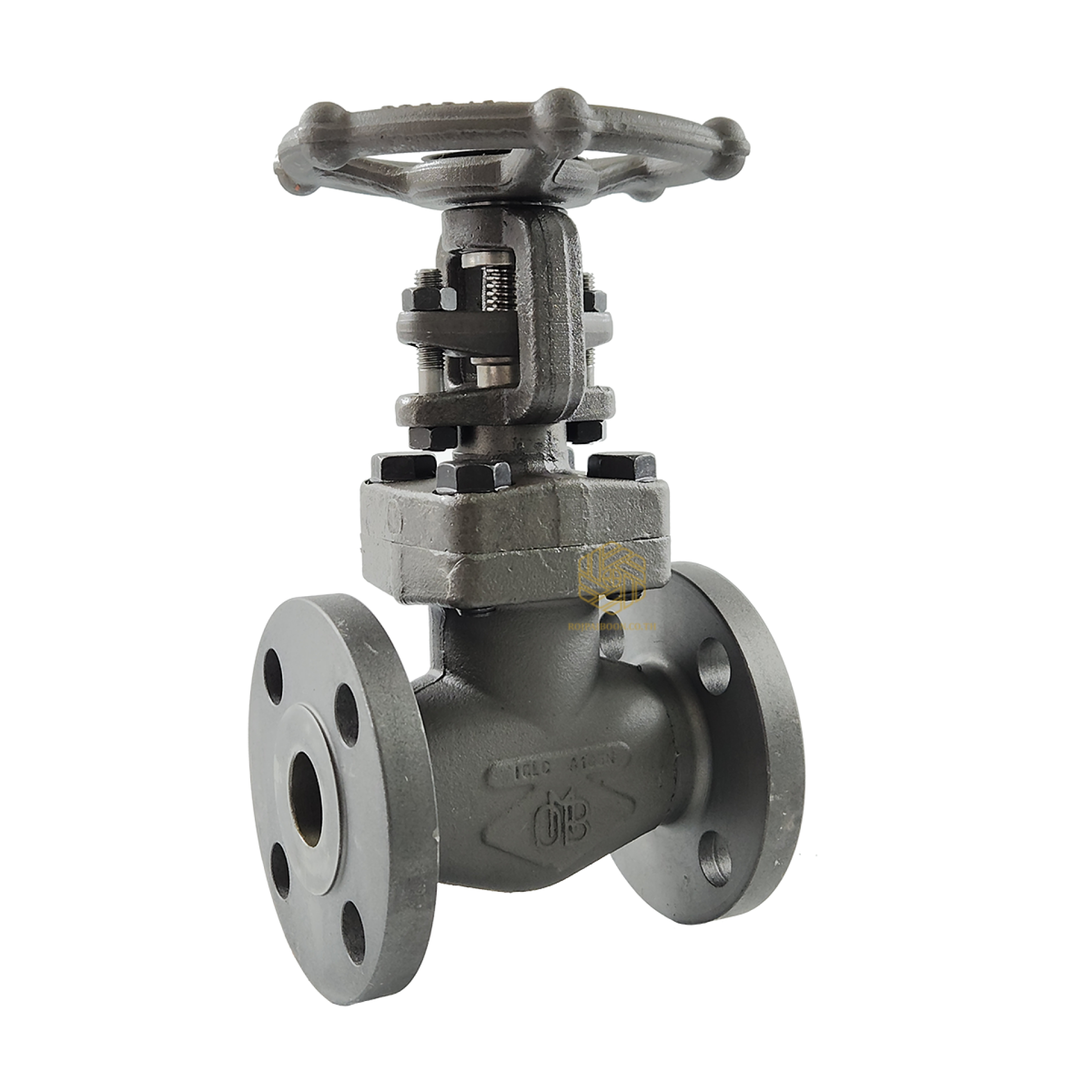 OMB VALVE FIG.Gate A182,F304L 304/304L 800P/SW