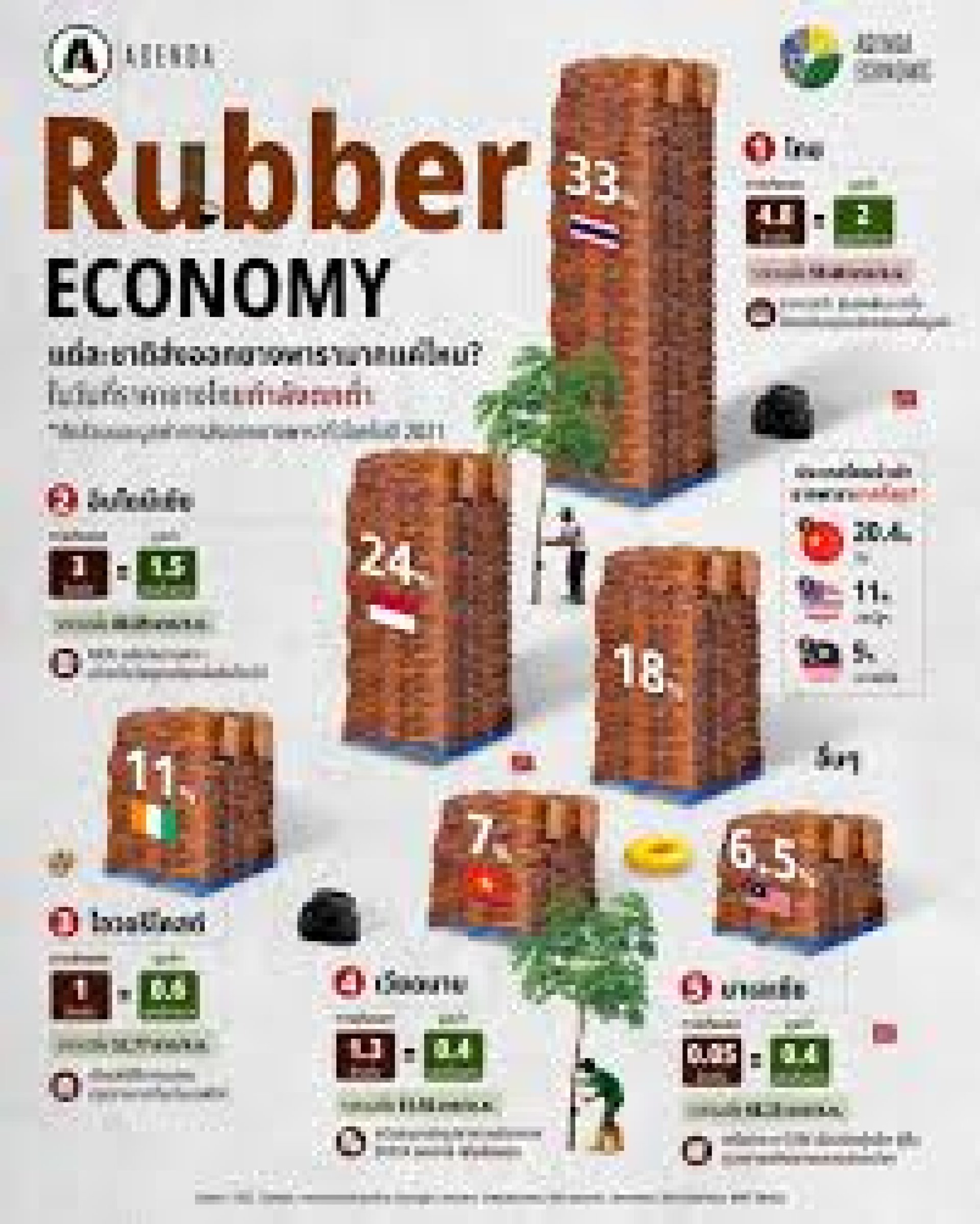 TSR20 – ยางแท่งมาตรฐานไทยที่โลกต้องการ