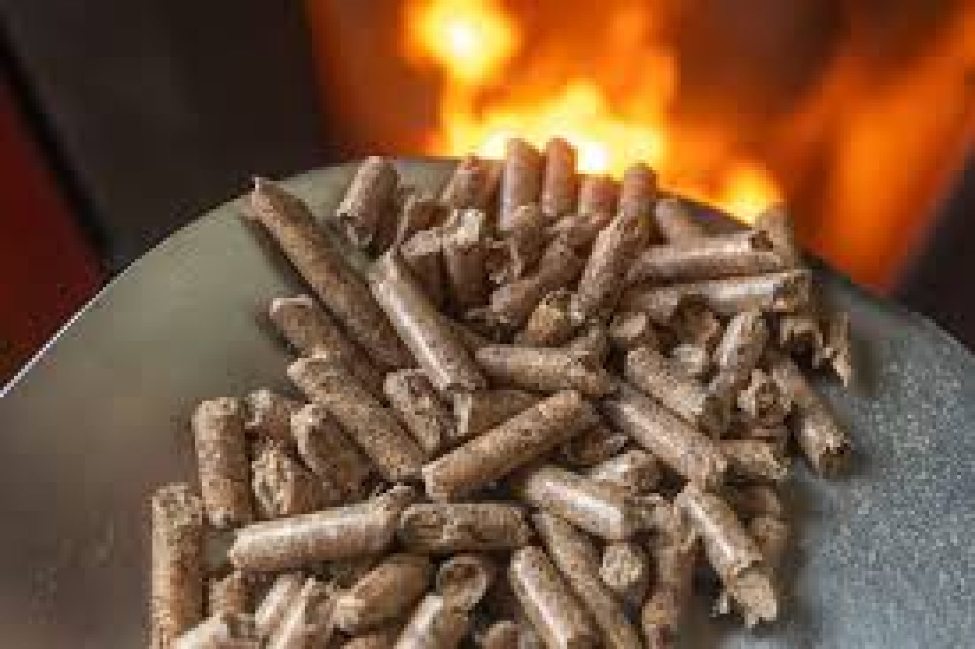Sawdust Fuel & Wood Pellets – Clean Energy Rising in Thailand