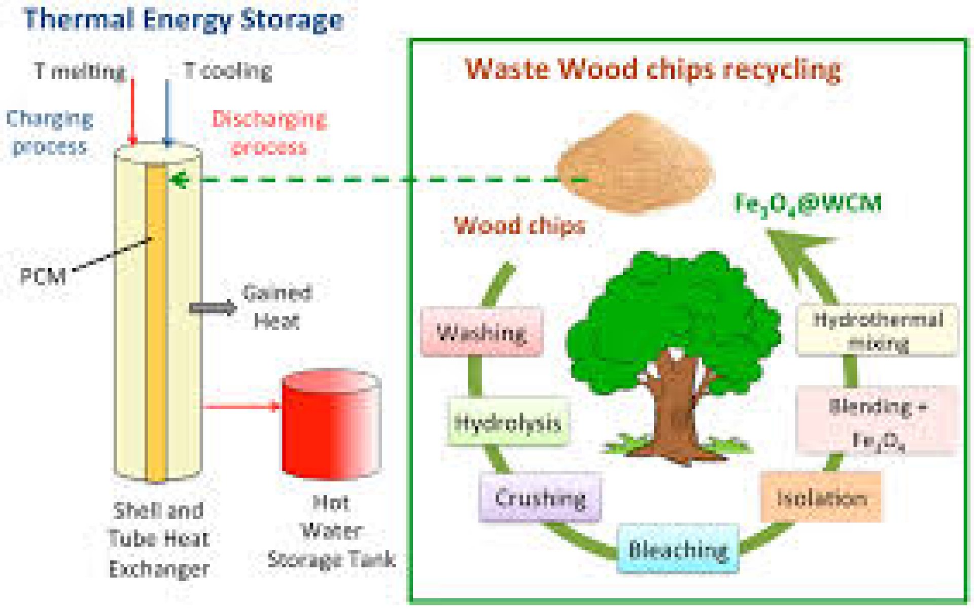 BIO ENERGY (WOOD CHIP) Green Energy, Future Trend on carbon credit