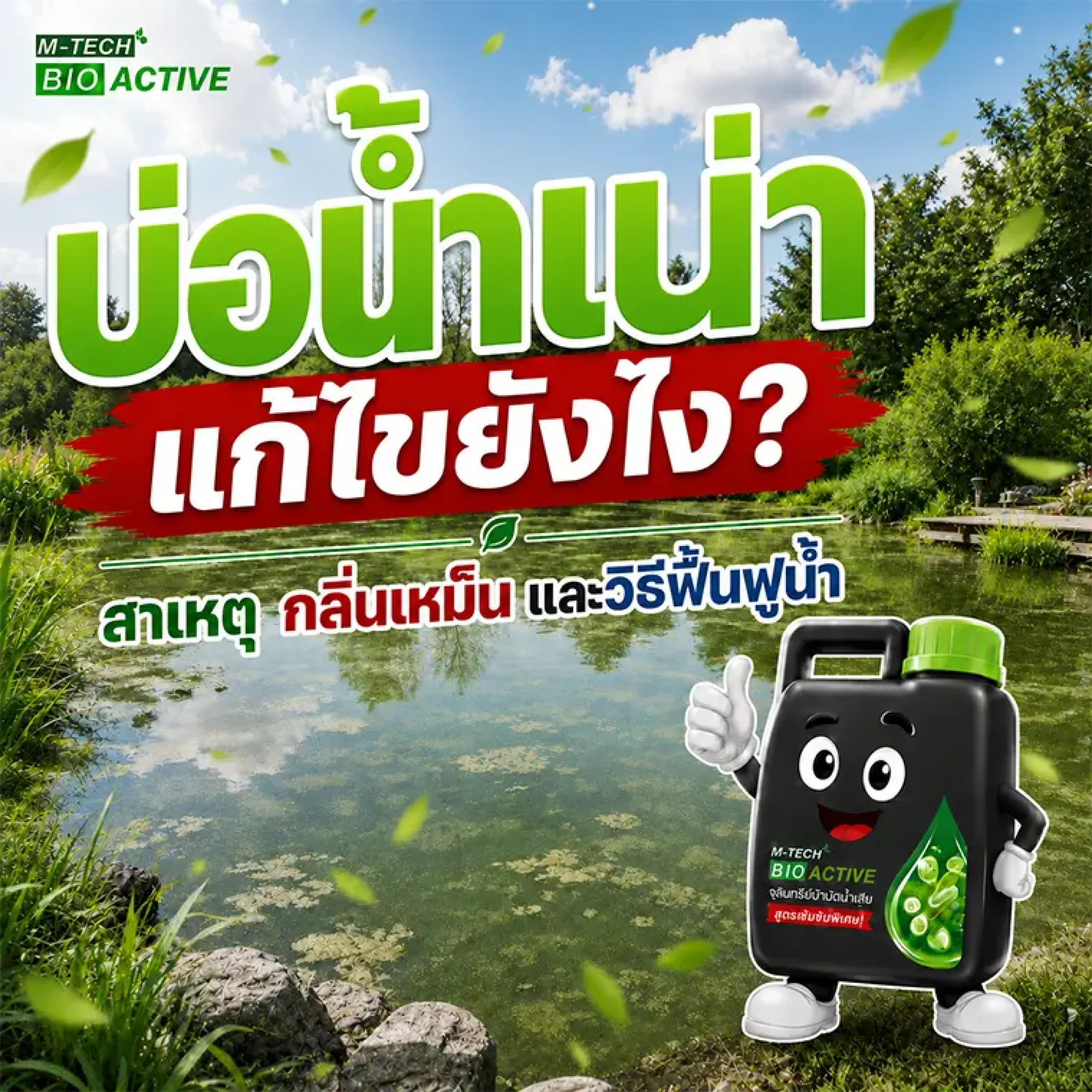 บ่อน้ำเน่า น้ำเขียวและมีกลิ่นเหม็นจากของเสียสะสม บ่อน้ำเน่า น้ำเขียวและมีกลิ่นเหม็นจากของเสียสะสม