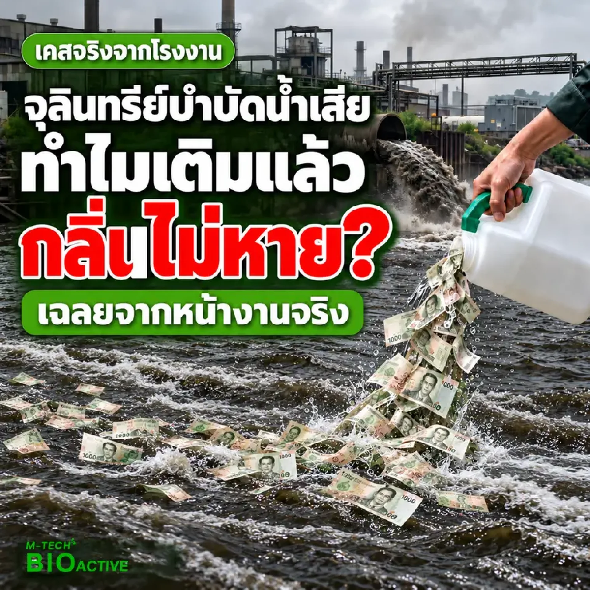คลองน้ำเสียสีดำส่งกลิ่นเหม็นข้างโรงงาน ปัญหาที่จุลินทรีย์บำบัดน้ำเสียต้องแก้ที่ต้นทาง คลองน้ำเสียสีดำส่งกลิ่นเหม็นข้างโรงงาน ปัญหาที่จุลินทรีย์บำบัดน้ำเสียต้องแก้ที่ต้นทาง