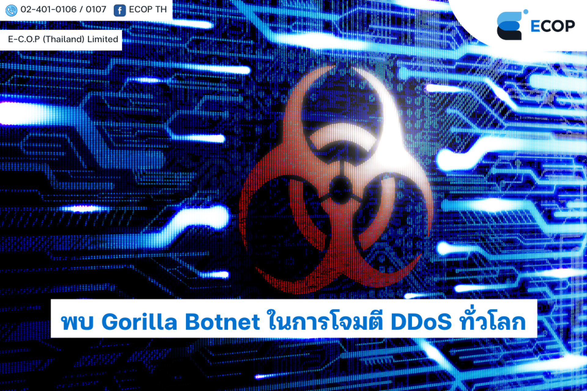พบ Gorilla Botnet ในการโจมตี DDoS ทั่วโลก