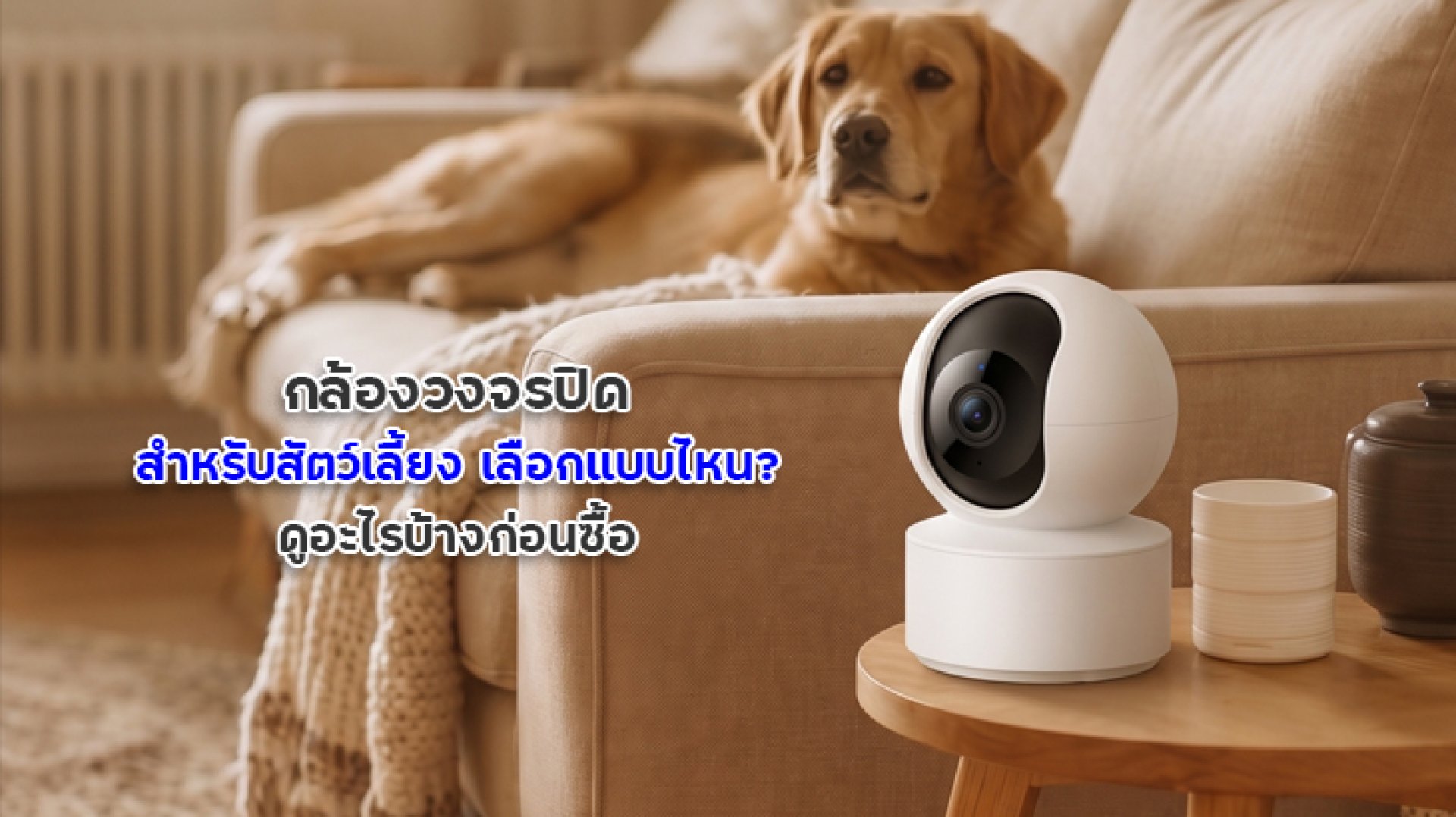 กล้องวงจรปิดสำหรับสัตว์เลี้ยง_เลือกแบบไหน_ดูอะไรบ้างก่อนซื้อ กล้องวงจรปิดสำหรับสัตว์เลี้ยง_เลือกแบบไหน_ดูอะไรบ้างก่อนซื้อ