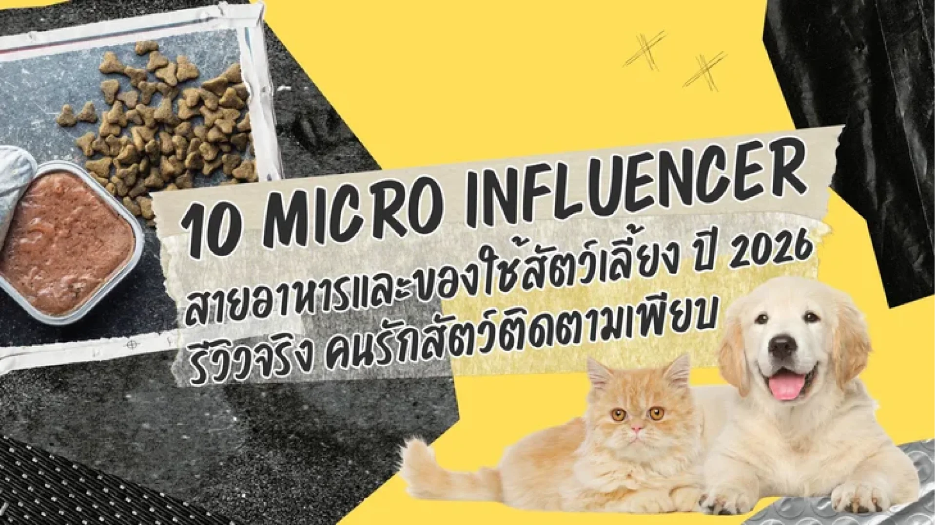 10 Micro Influencer สายอาหารและของใช้สัตว์เลี้ยง ปี 2026 รีวิวจริง คนรักสัตว์ติดตามเพีย 10 Micro Influencer สายอาหารและของใช้สัตว์เลี้ยง ปี 2026 รีวิวจริง คนรักสัตว์ติดตามเพีย