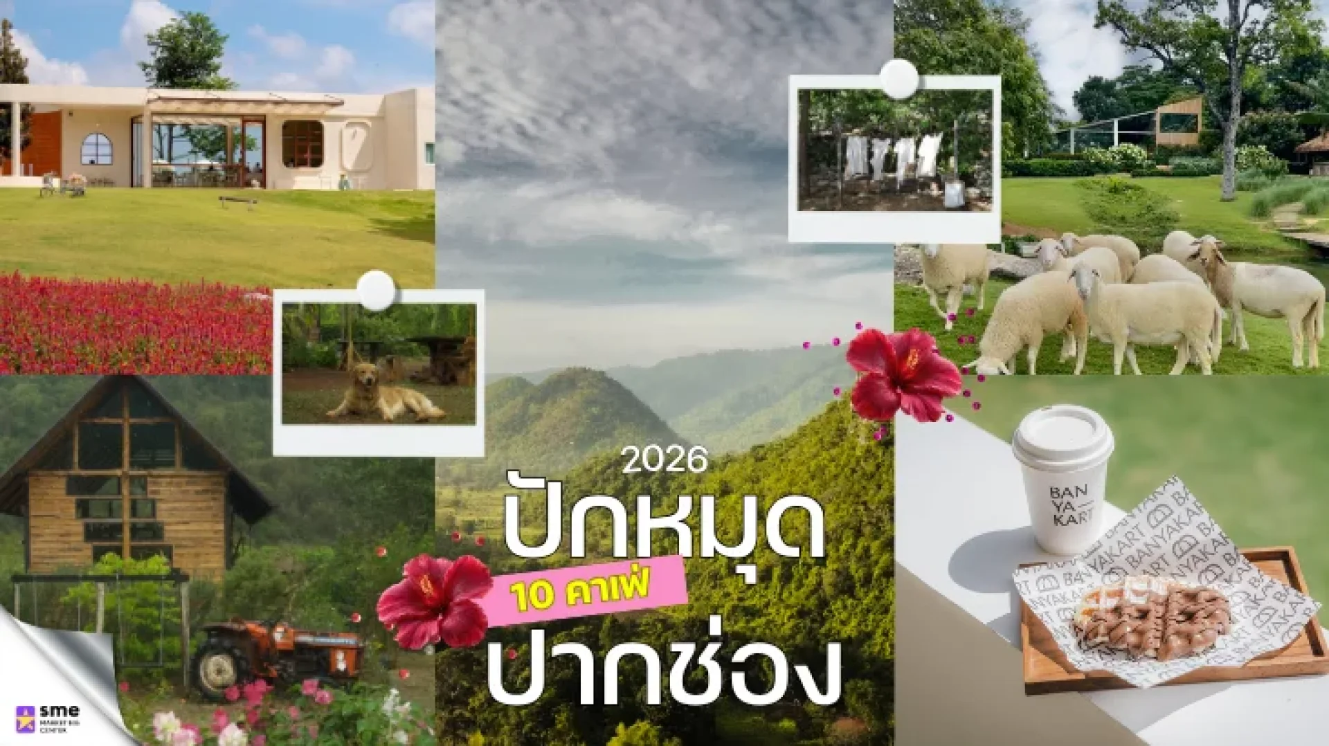 10 ธุรกิจคาเฟ่ปากช่อง 10 ธุรกิจคาเฟ่ปากช่อง