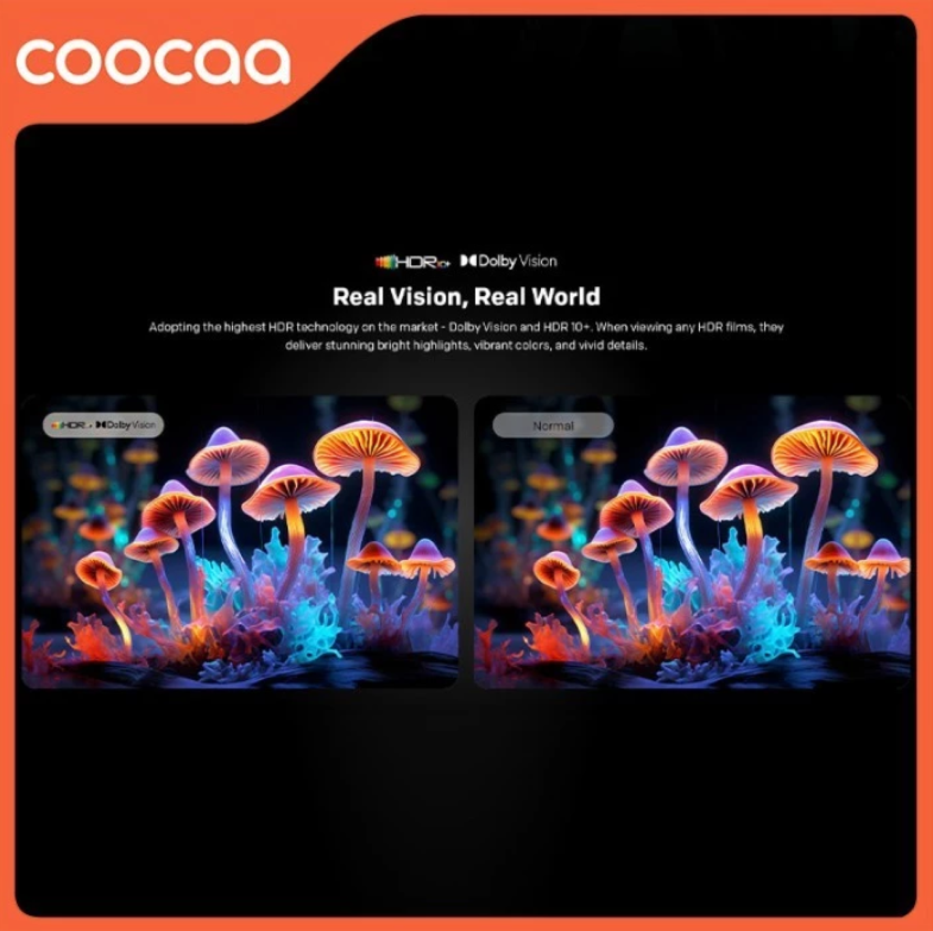 Website Resmi Coocaa Indonesia