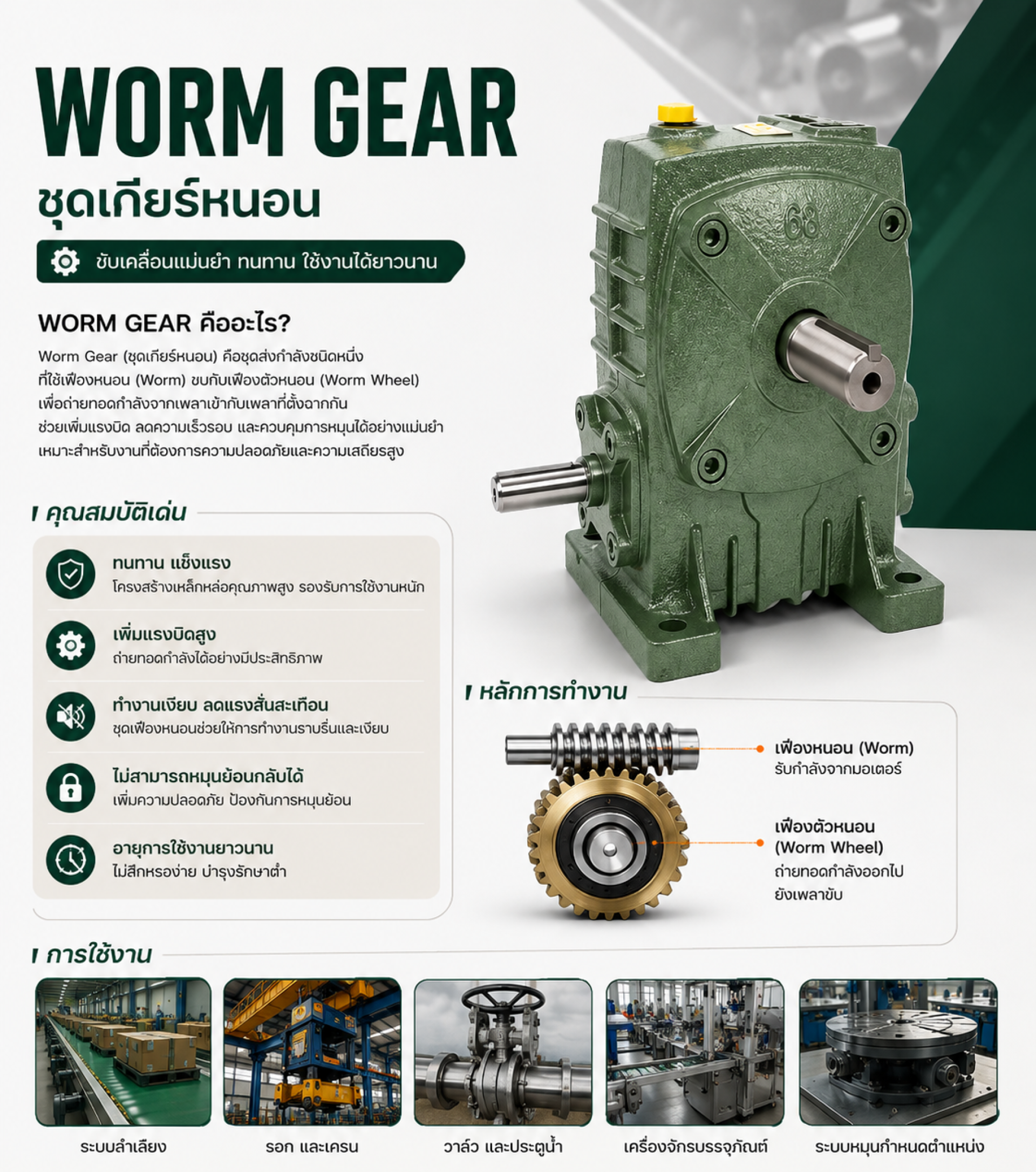 WORM GEAR ชุดเกียร์หนอน WORM GEAR ชุดเกียร์หนอน