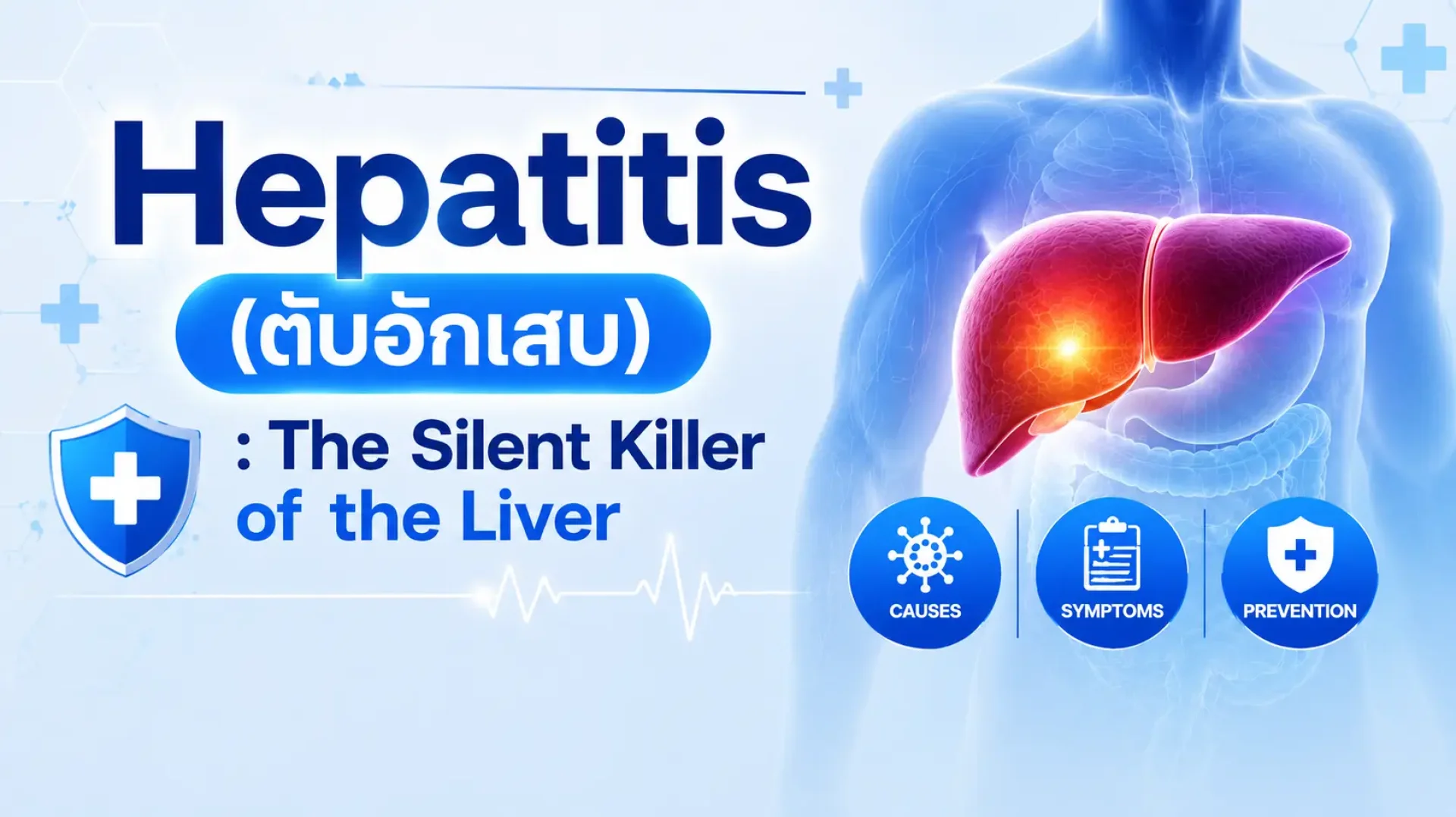 Hepatitis, ตับอักเสบ, เซเปี้ยนซ์, sapiens Hepatitis, ตับอักเสบ, เซเปี้ยนซ์, sapiens