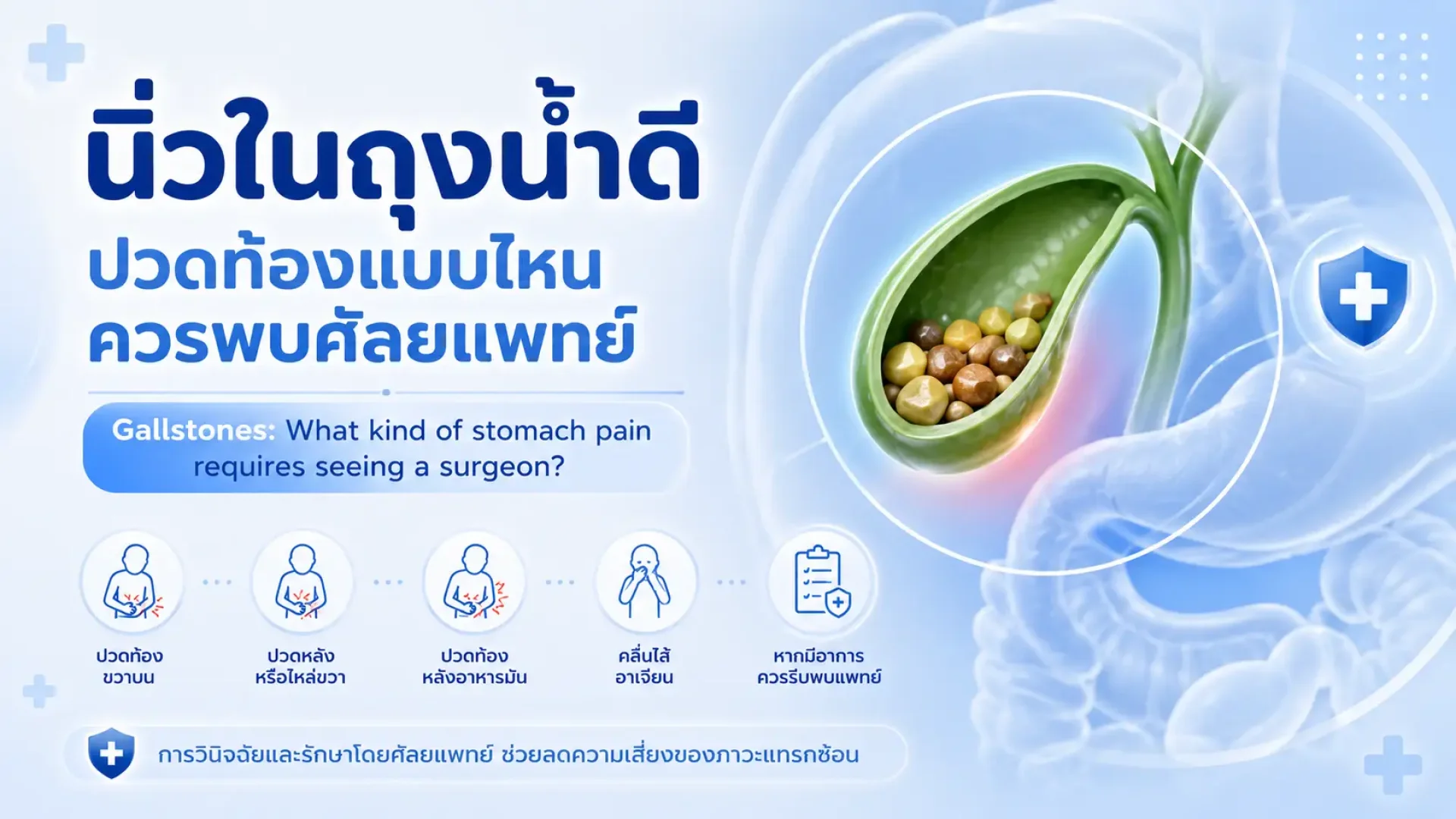 นิ่ว, ถุงน้ำดี, เซเปี้ยนซ์, sapiens, อายุรกรรม นิ่ว, ถุงน้ำดี, เซเปี้ยนซ์, sapiens, อายุรกรรม