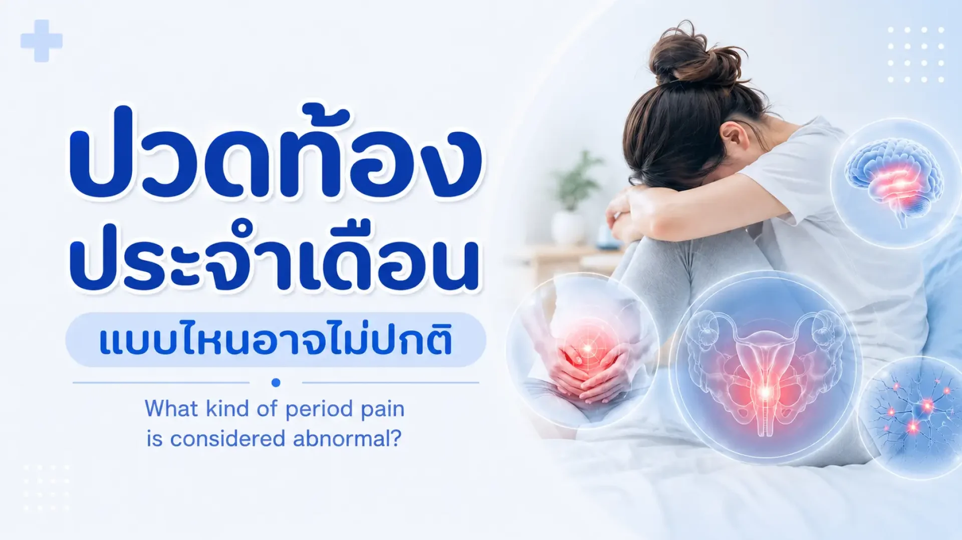 ประจำเดือน, เซเปี้ยนซ์, sapiens, อายุรกรรม ประจำเดือน, เซเปี้ยนซ์, sapiens, อายุรกรรม