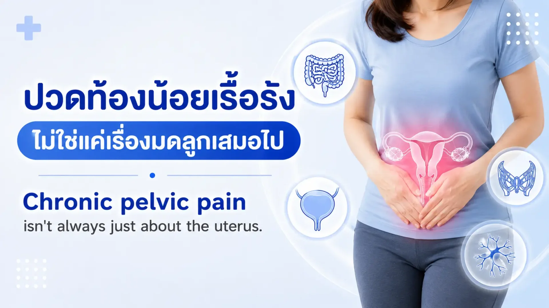 ปวดท้อง, ประจำเดือน, เซเปี้ยนซ์, sapiens, อายุรกรรม ปวดท้อง, ประจำเดือน, เซเปี้ยนซ์, sapiens, อายุรกรรม
