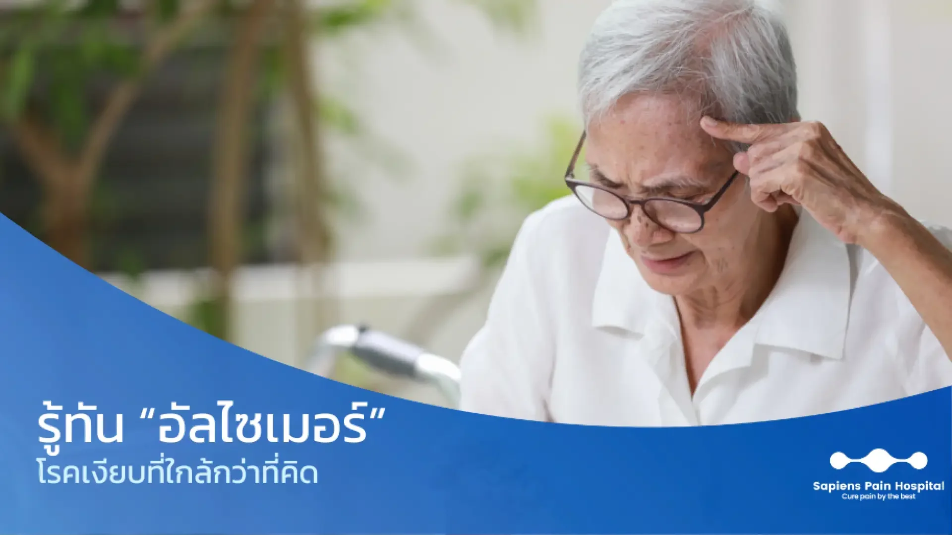 อัลไซเมอร์, Alzheimers Disease, AD อัลไซเมอร์, Alzheimers Disease, AD