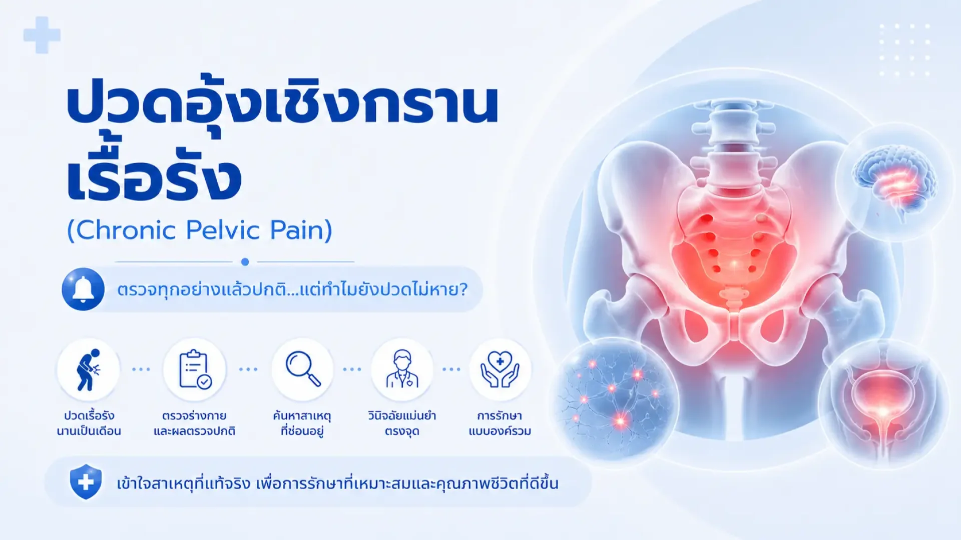 เชิงกราน, ปวดเรื้องรัง, ปวดท้อง, เซเปี้ยนซ์, sapiens เชิงกราน, ปวดเรื้องรัง, ปวดท้อง, เซเปี้ยนซ์, sapiens