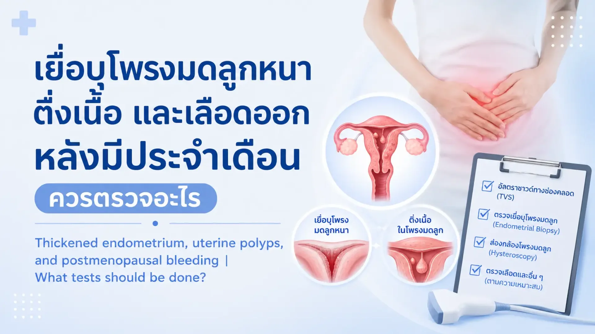 โพรงมดลูก, ประจำเดือน, เซเปี้ยนซ์, sapiens, อายุรกรรม โพรงมดลูก, ประจำเดือน, เซเปี้ยนซ์, sapiens, อายุรกรรม