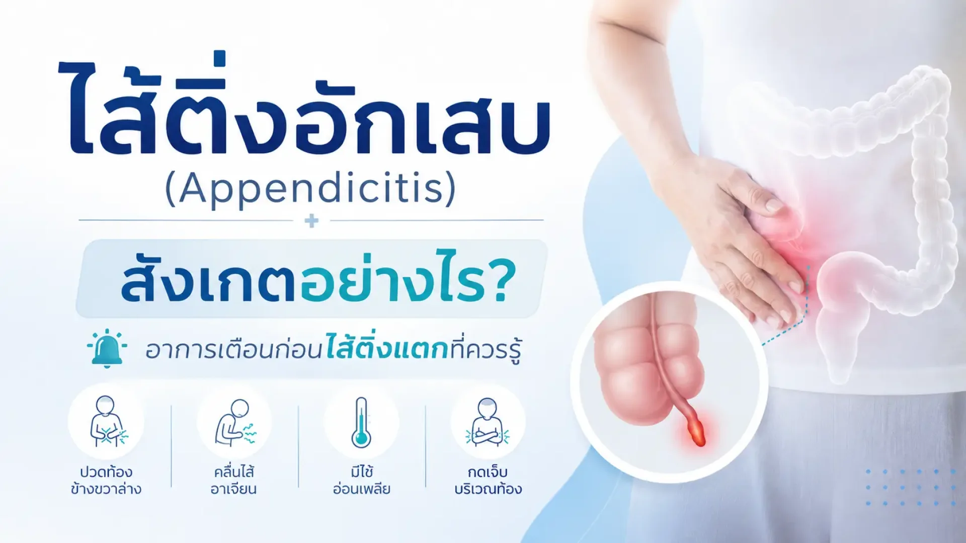 ใส้ติ่ง, ใส้ติ่งอักเสบ, โรงพยาบาล, เซเปี้ยนซ์, sapiens ใส้ติ่ง, ใส้ติ่งอักเสบ, โรงพยาบาล, เซเปี้ยนซ์, sapiens