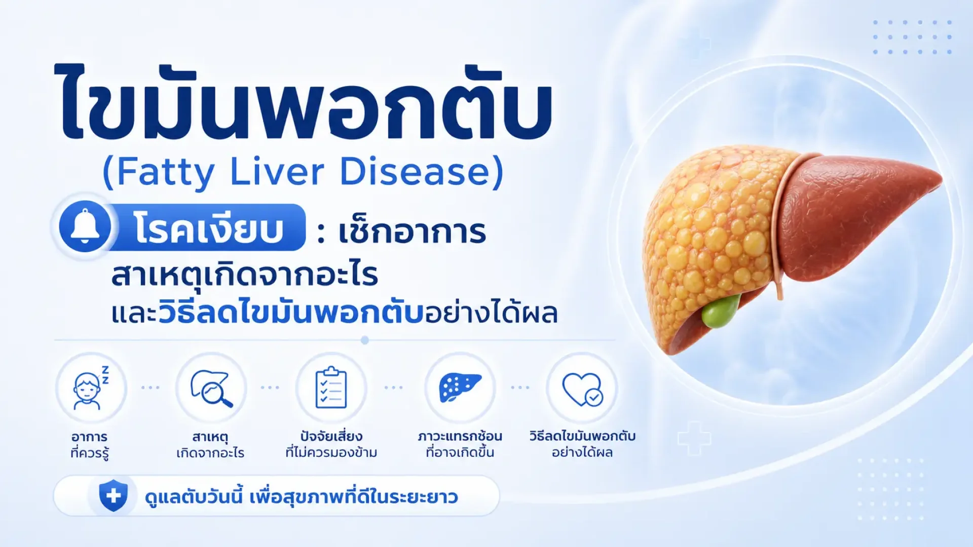 ไขมันพอกในตับ, ตับ, เซเปี้ยนซ์, sapiens ไขมันพอกในตับ, ตับ, เซเปี้ยนซ์, sapiens
