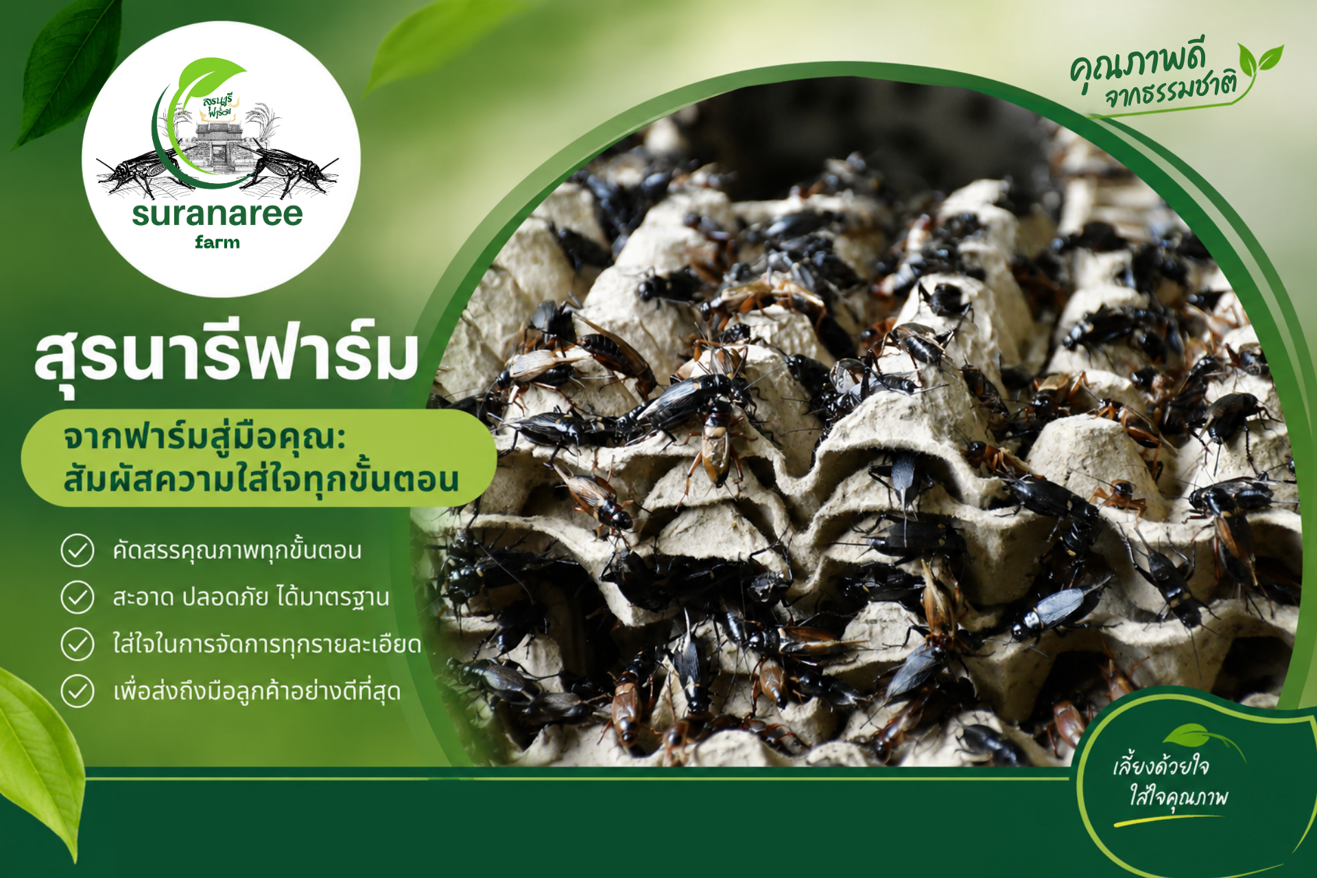 “จากฟาร์มสู่มือคุณ: สัมผัสความใส่ใจทุกขั้นตอน” “จากฟาร์มสู่มือคุณ: สัมผัสความใส่ใจทุกขั้นตอน”