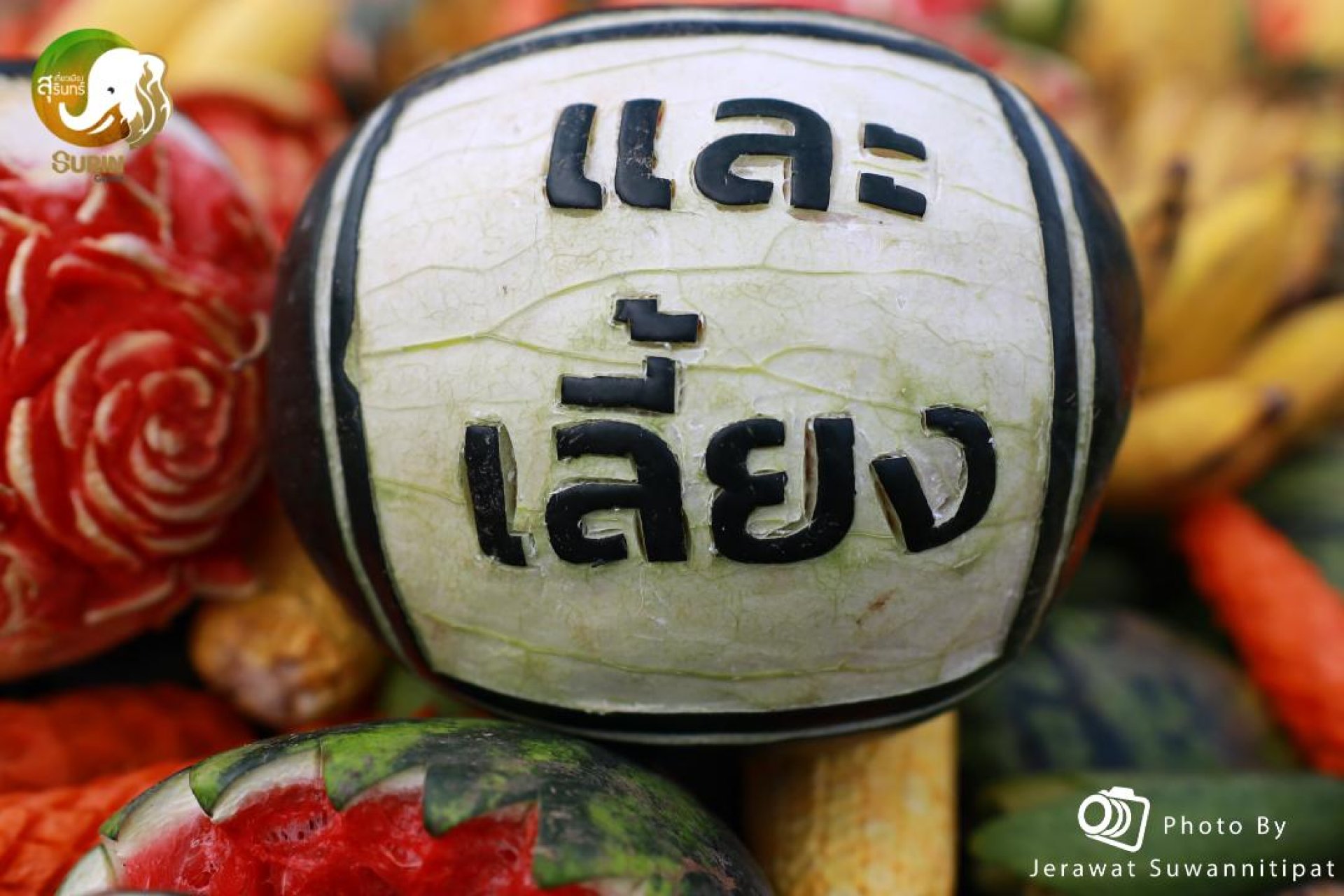 AMAZING SURINS ELEPHANT ROUND-UP 2025