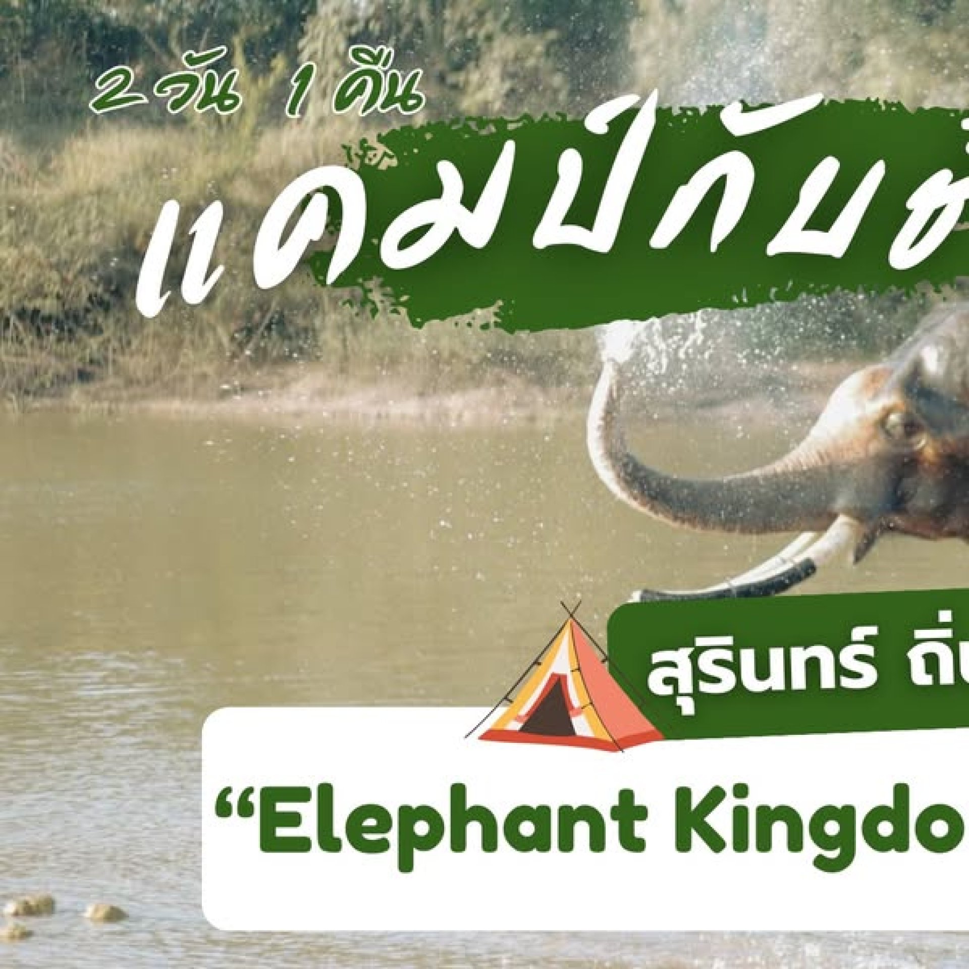Elephant Kingdom jungle camping Elephant Kingdom jungle camping
