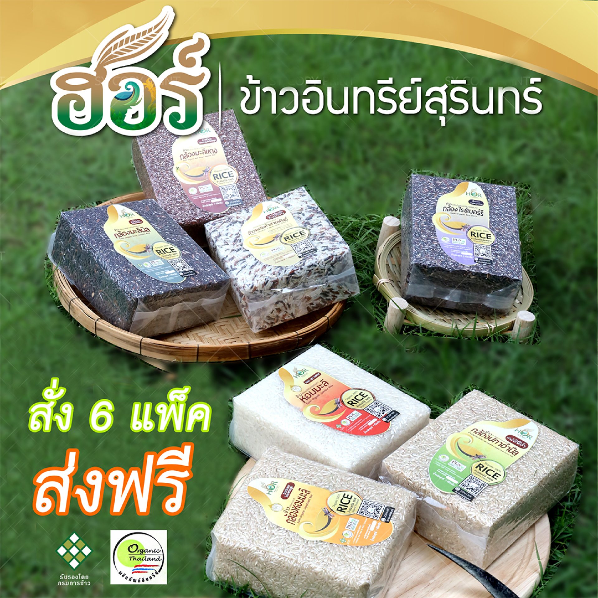 ข้าวอินทรีย์สุรินทร์ ข้าวอินทรีย์สุรินทร์
