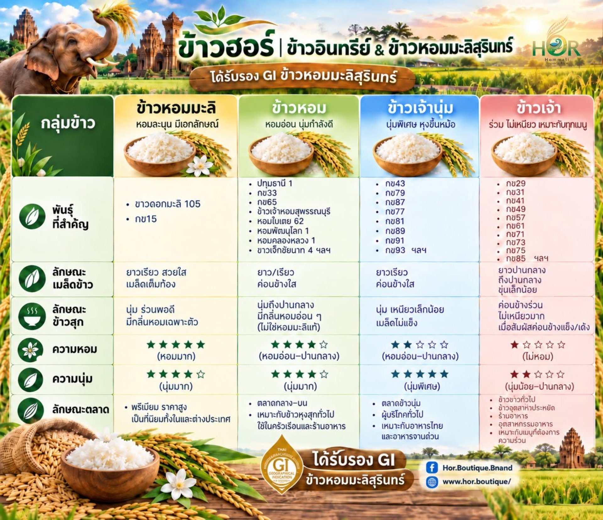 ข้าวฮอร์ ข้าวอินทรีย์-ข้าวหอมมะลิสุรินทร์ ข้าวฮอร์ ข้าวอินทรีย์-ข้าวหอมมะลิสุรินทร์