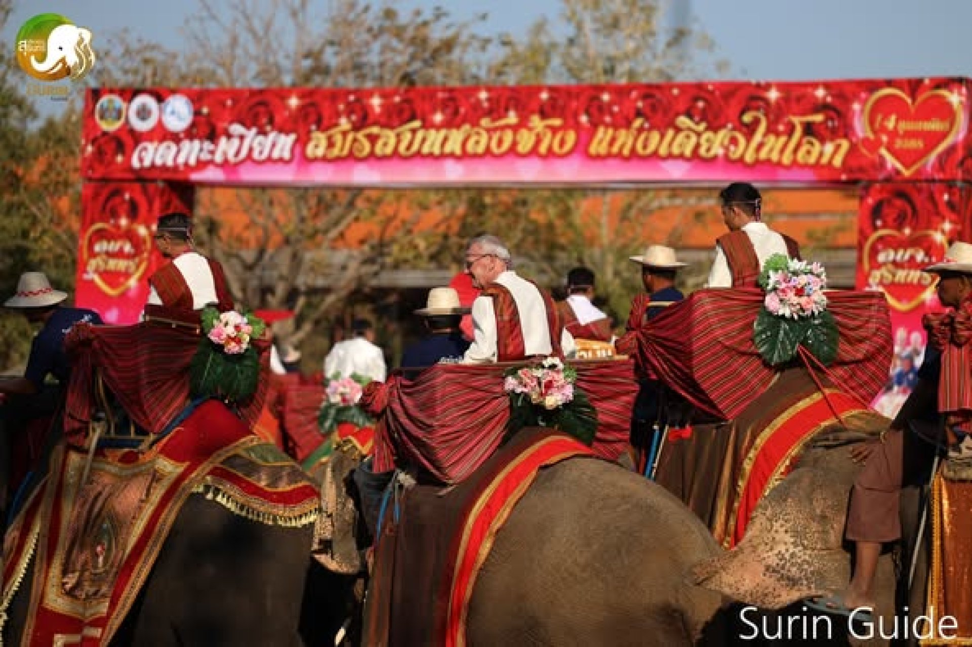 งานจดทะเบียนสมรสบนหลังช้าง ประจำปี 2568 งานจดทะเบียนสมรสบนหลังช้าง ประจำปี 2568