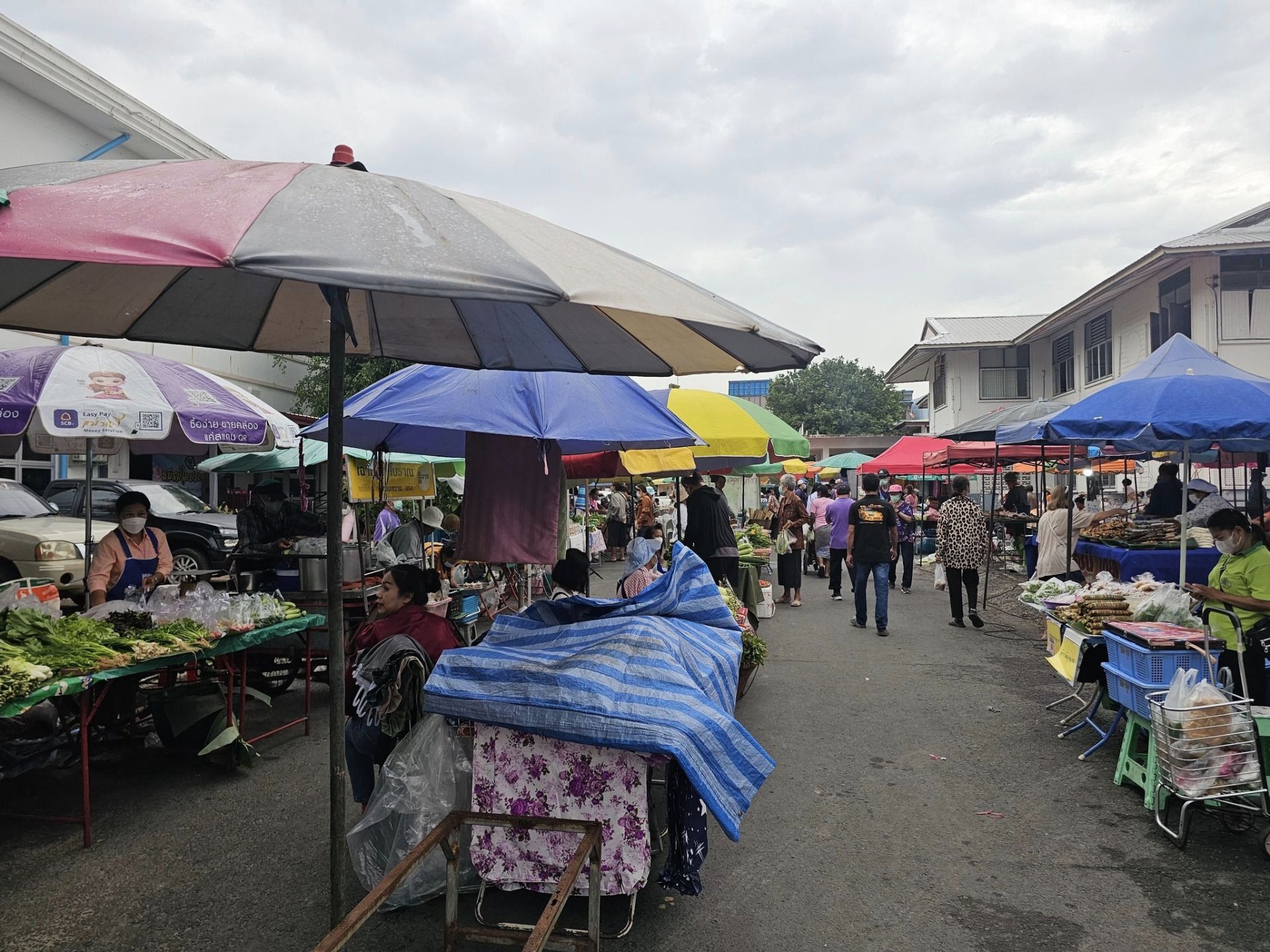 ตลาดเขียว1 ตลาดเขียว1