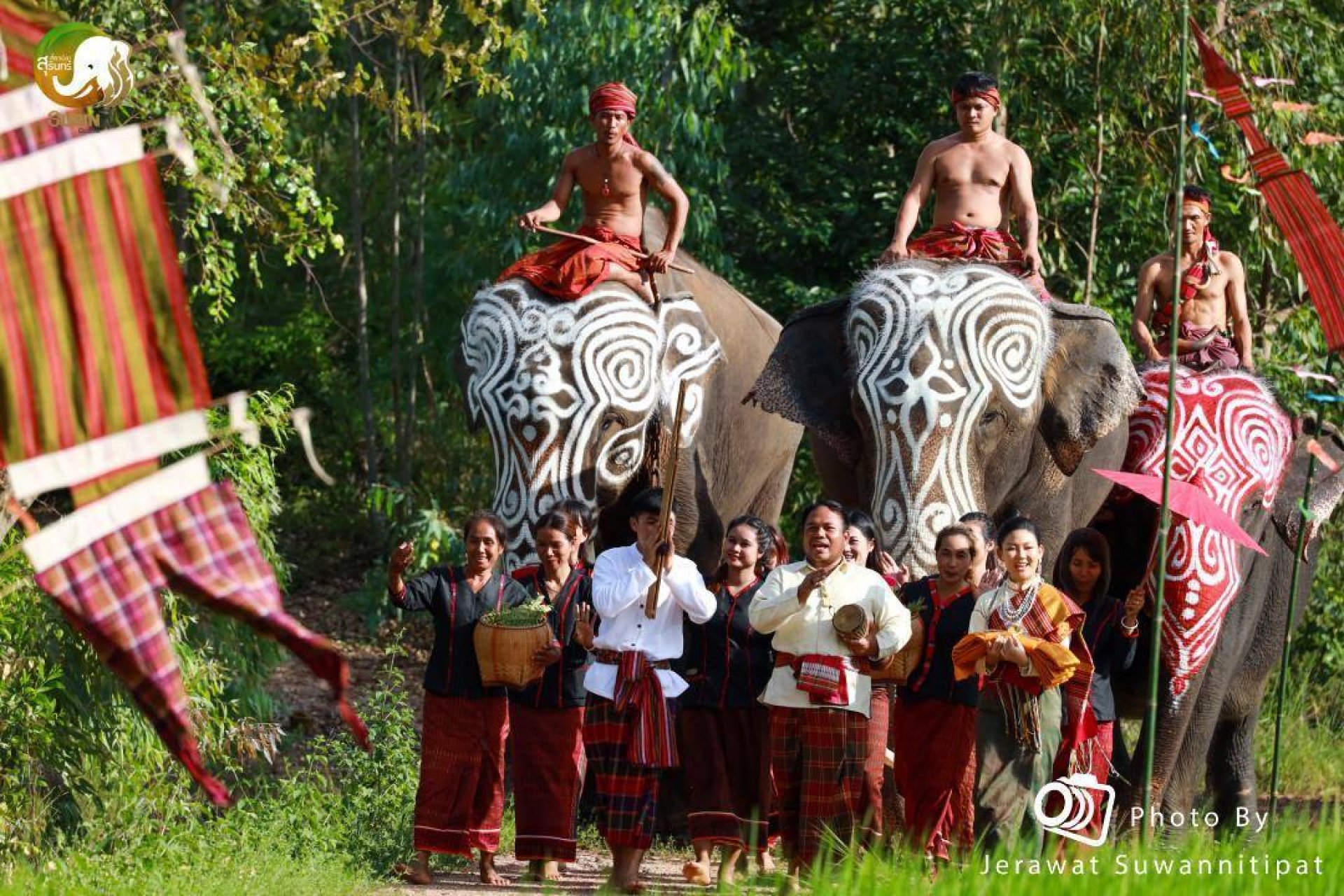 บุญกฐินช้างสุรินทร์ บุญกฐินช้างสุรินทร์