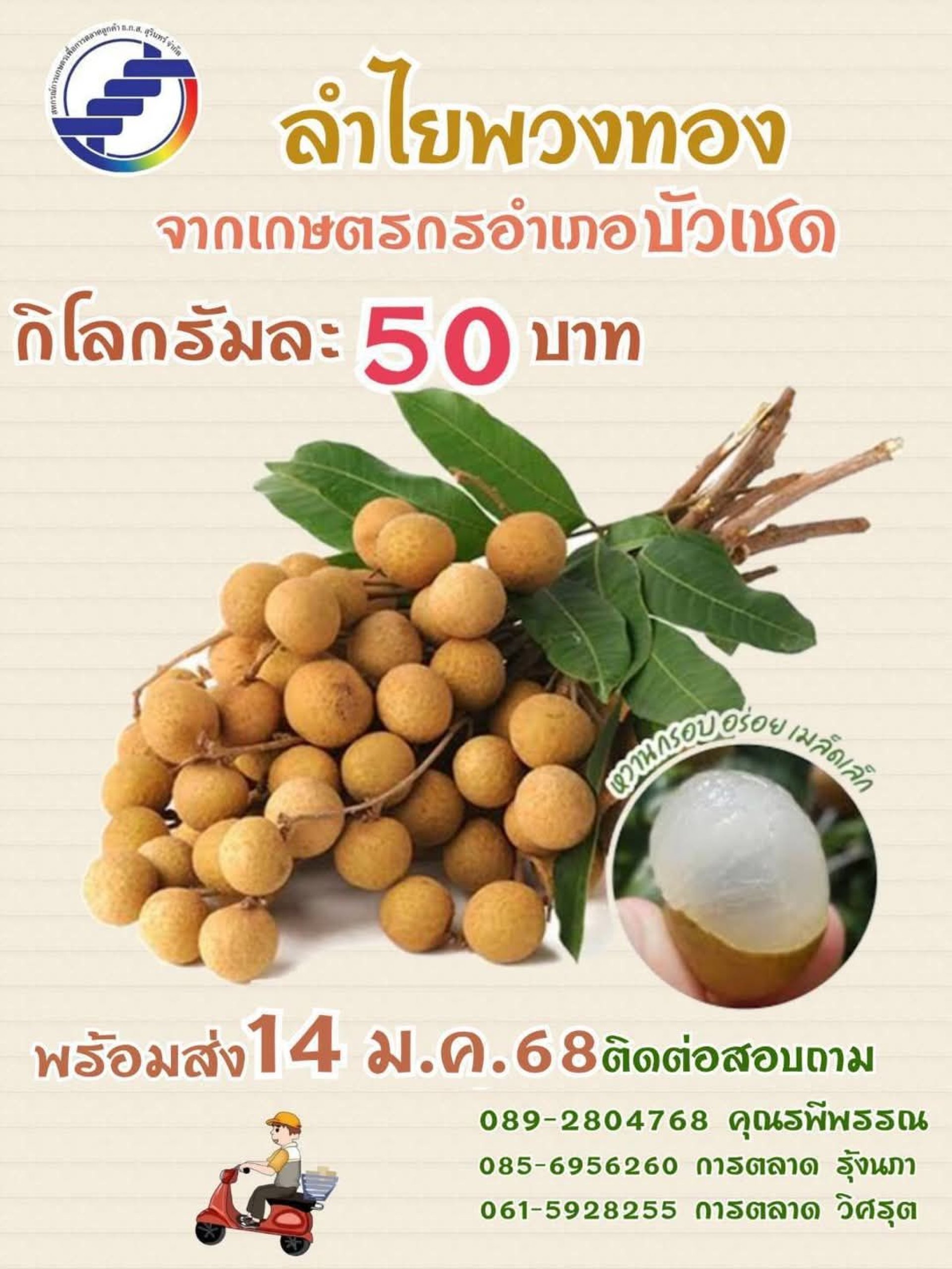 ลำไยพวงทองคุณภาพดี จากเกษตรกรอำเภอบัวเชด ลำไยพวงทองคุณภาพดี จากเกษตรกรอำเภอบัวเชด