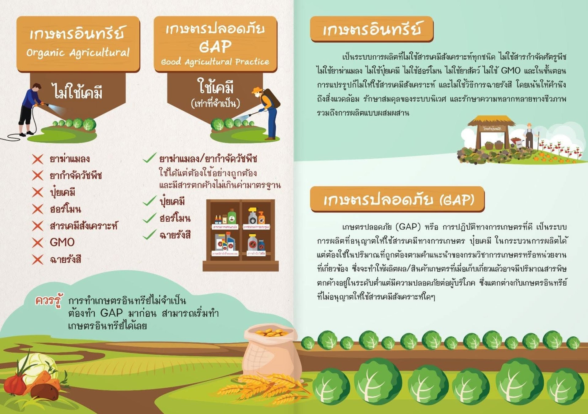 เกษตรอินทรีย์ เกษตรอินทรีย์