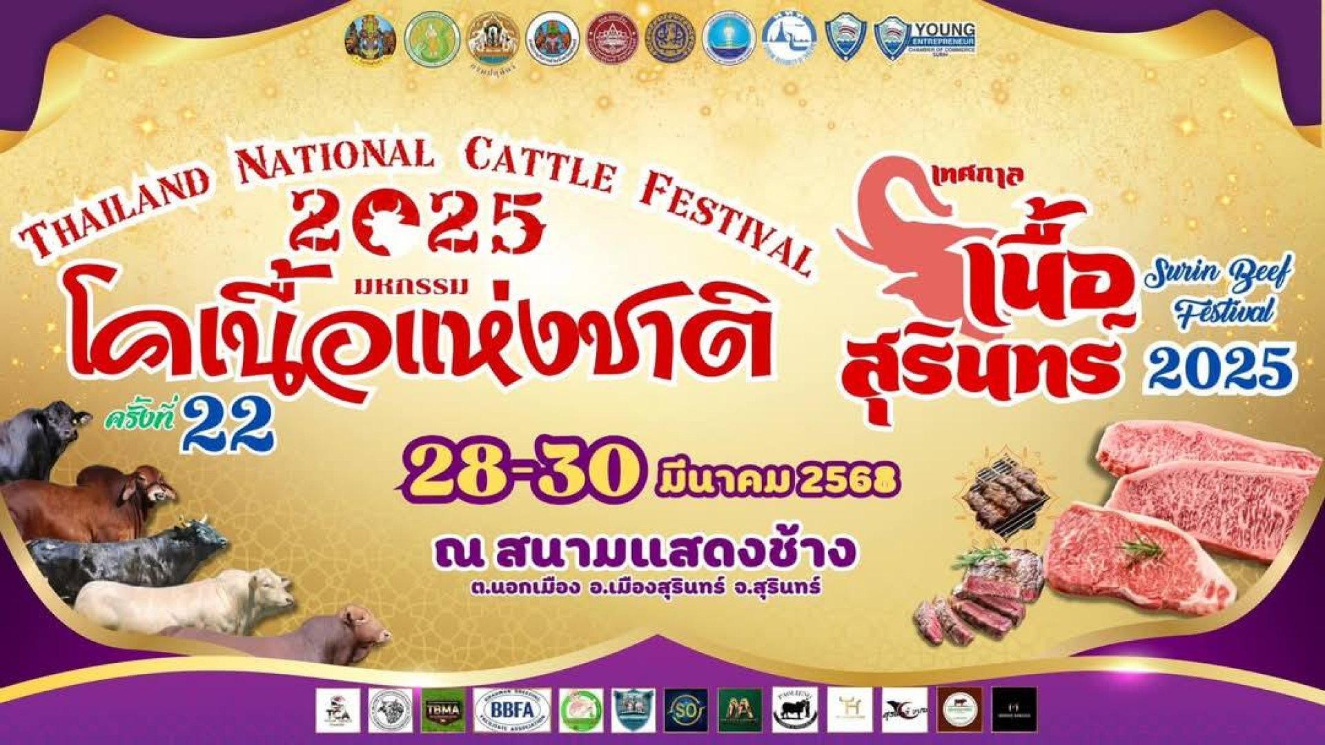 โคเนื้อสุรินทร์ โคเนื้อสุรินทร์