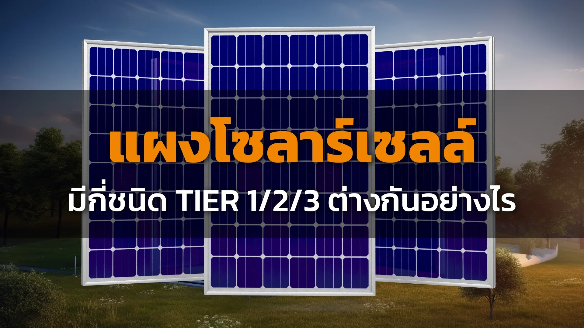 แผงโซลาร์เซลล์ แผงโซลาร์เซลล์